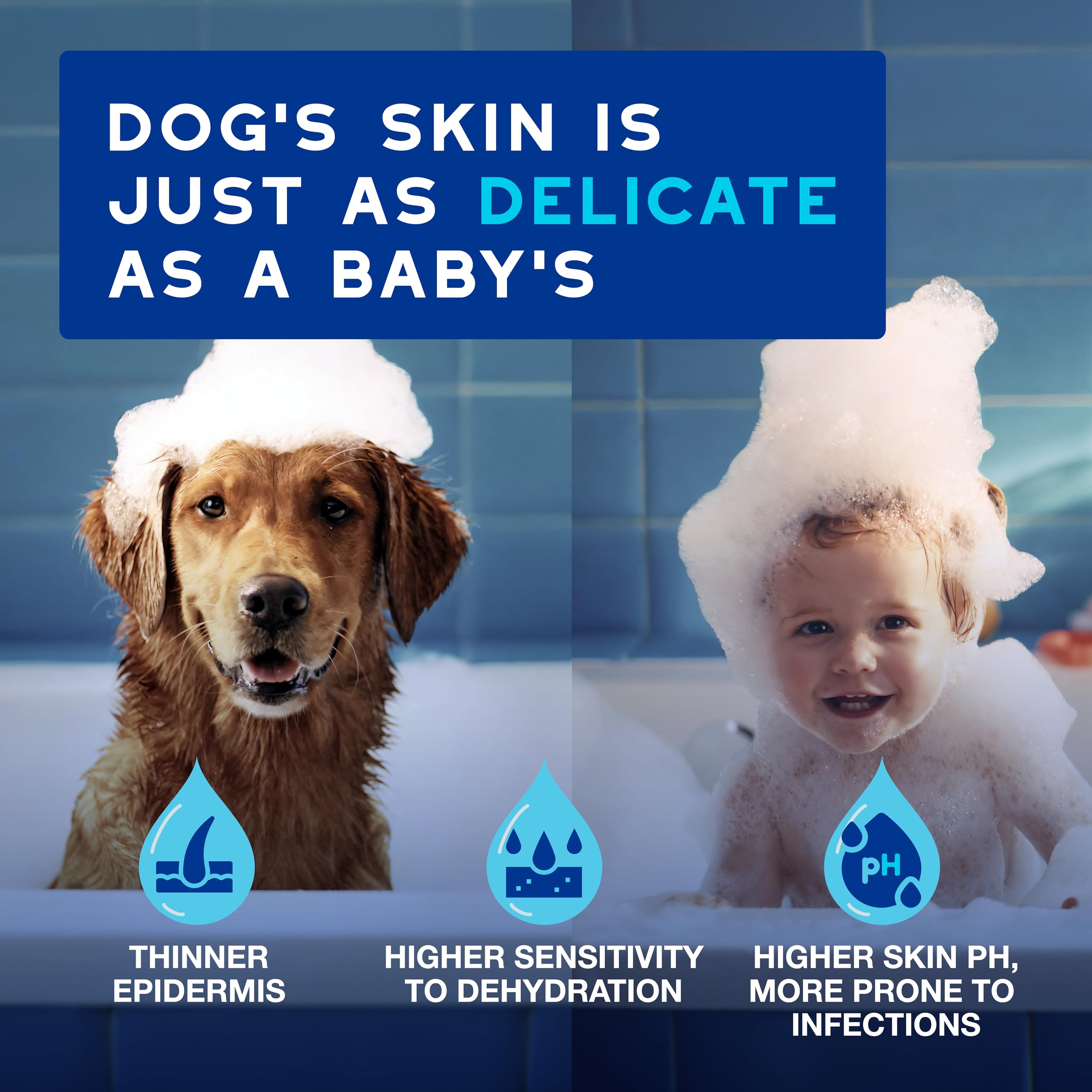 Douxo Skin & Coat SPA Quick Refresh Leave-on Mousse for Dogs - Waterless Cleansing, 150 ml 3