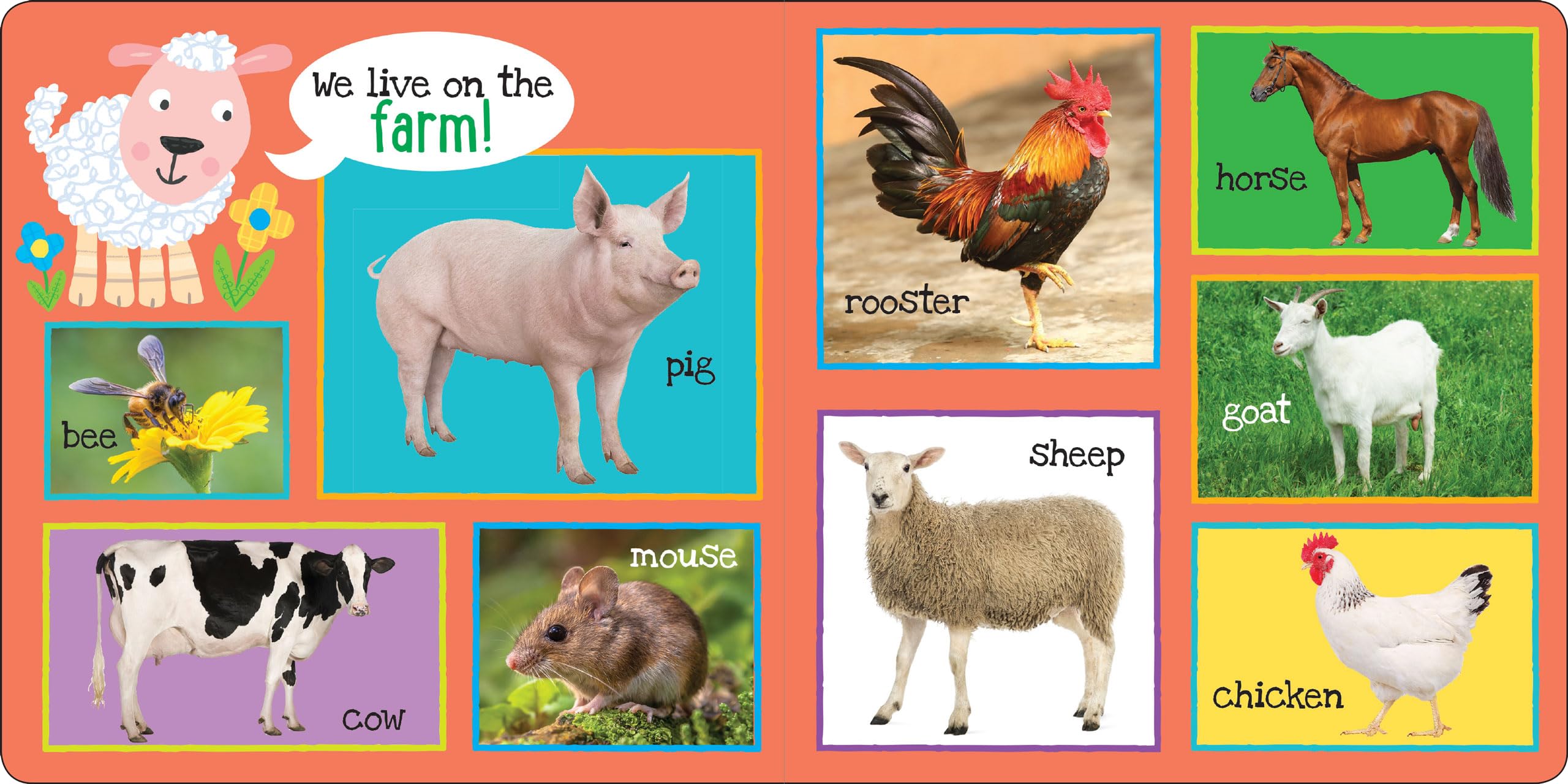 Peter Pauper Press My First 101 Animals Board Book - Ages 0-2 | 24 Pages | English 5