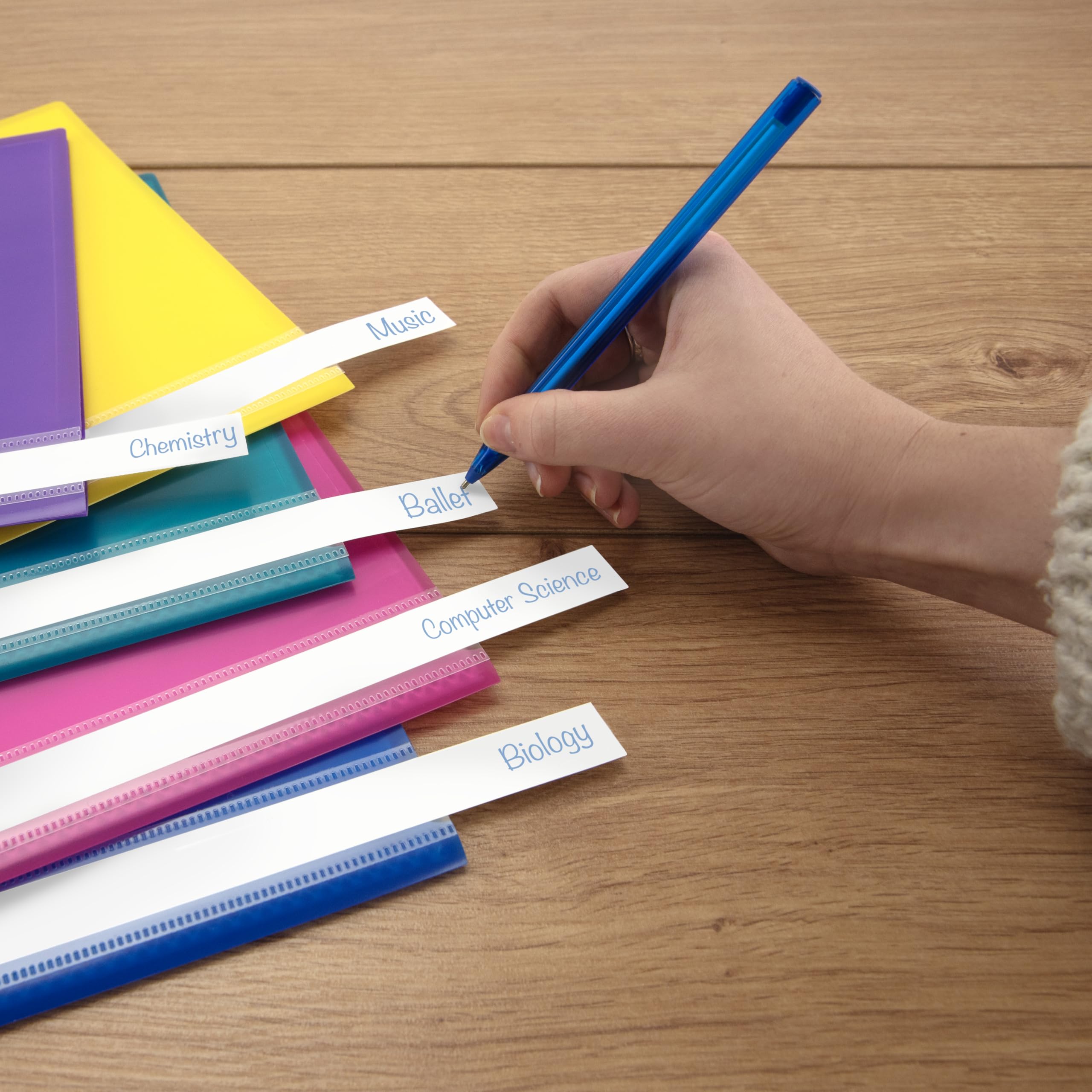 RAPESCO 0919 A4 Project Presentation Display Book - 20 Pockets, Assorted Bright Colours, Pack of 10 5