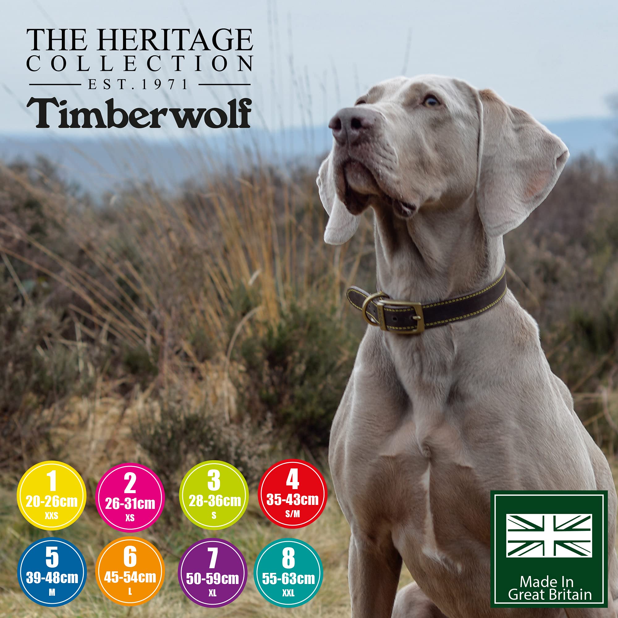 Ancol Timberwolf Leather Collar Sable Size 5 - 39-48 cm Neck | 2.2 cm Width 9