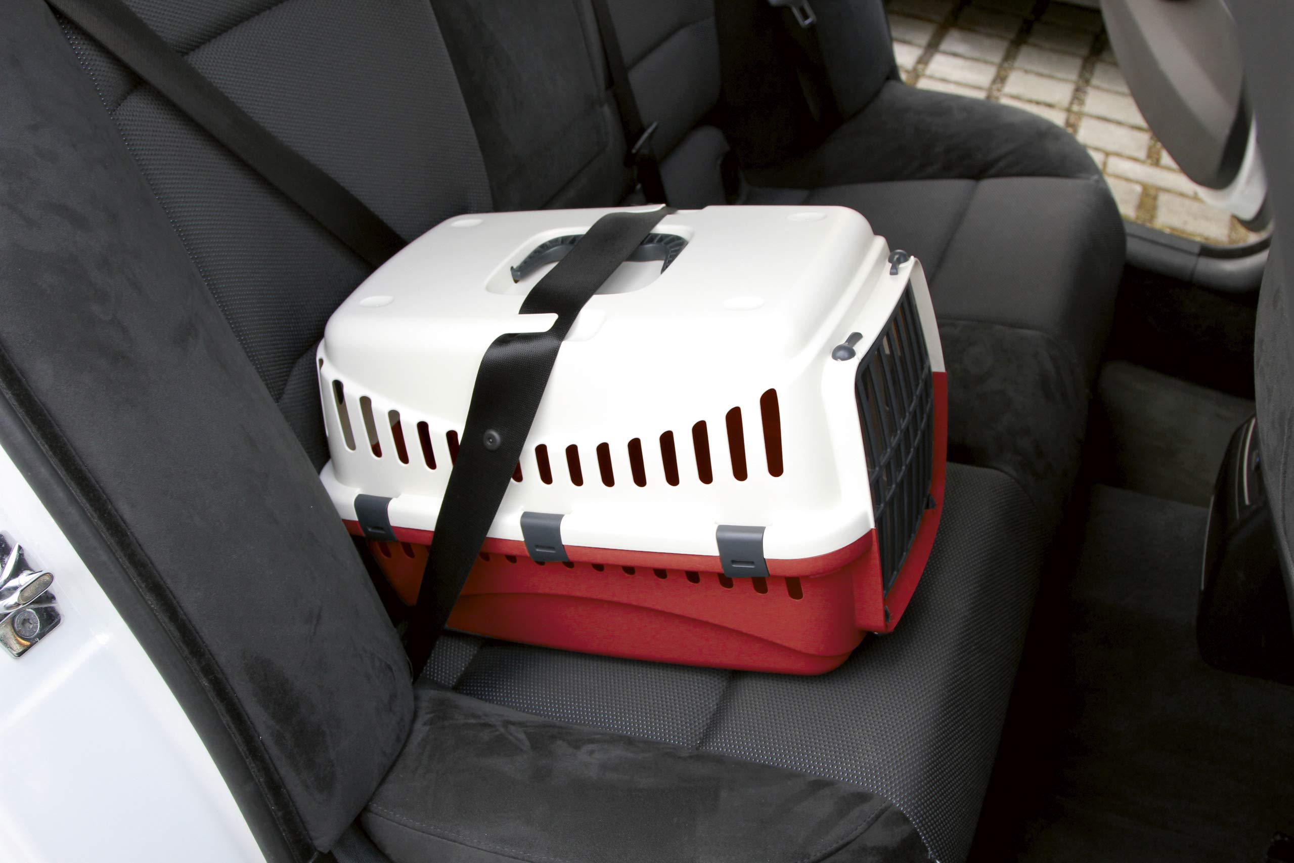 Kerbl Pet Transport Box Expedion with Plastic Door | 45x30x30 cm | Green/Dark Grey 6