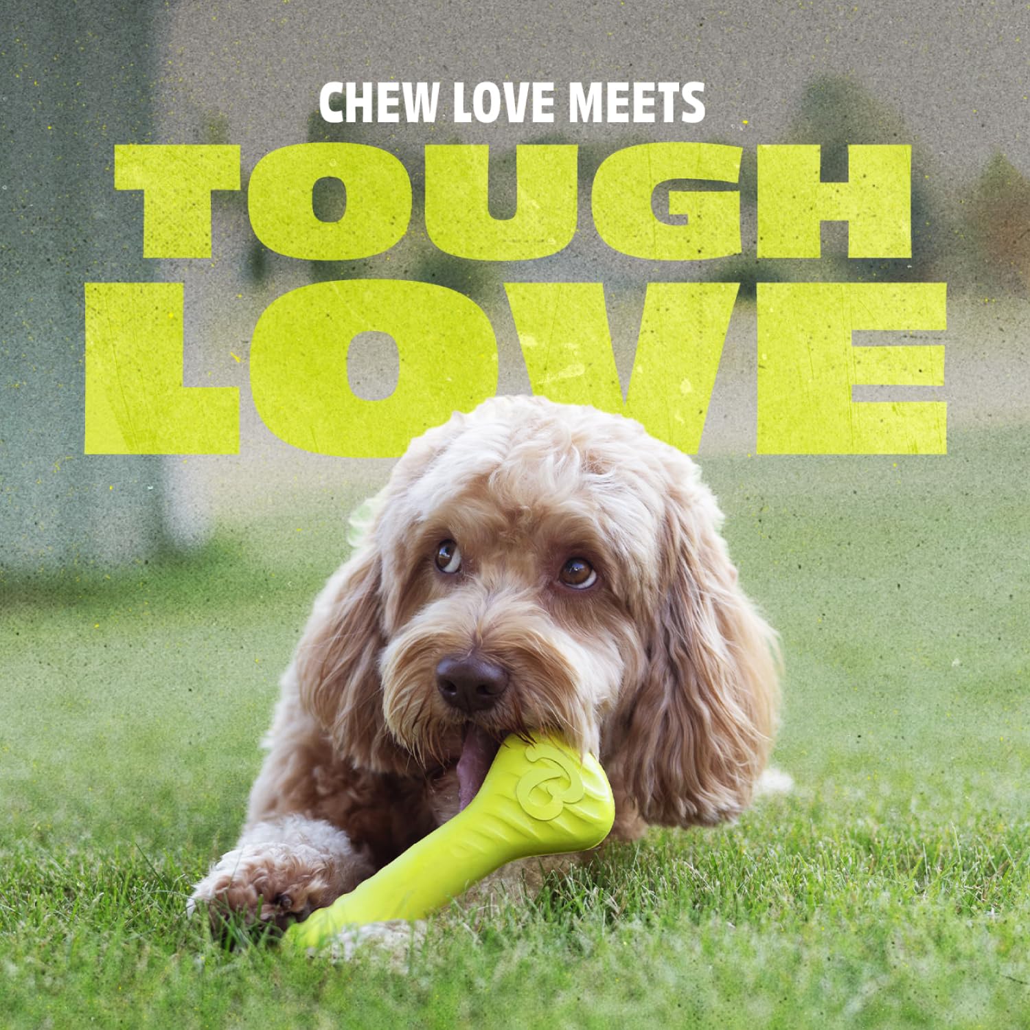 Benebone Natural Rubber Dog Bone Chew Toy - Medium Size, Green, Dishwasher Safe