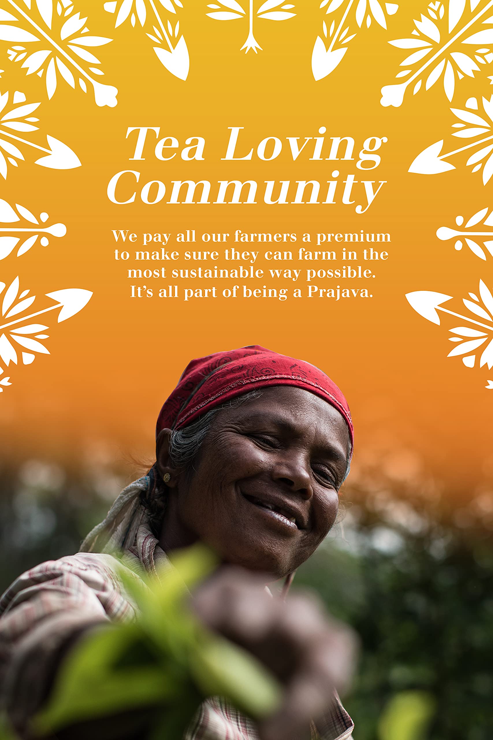 English Tea Shop Organic Super Goodness Collection Gift Tin - 36 Tea Bags 5