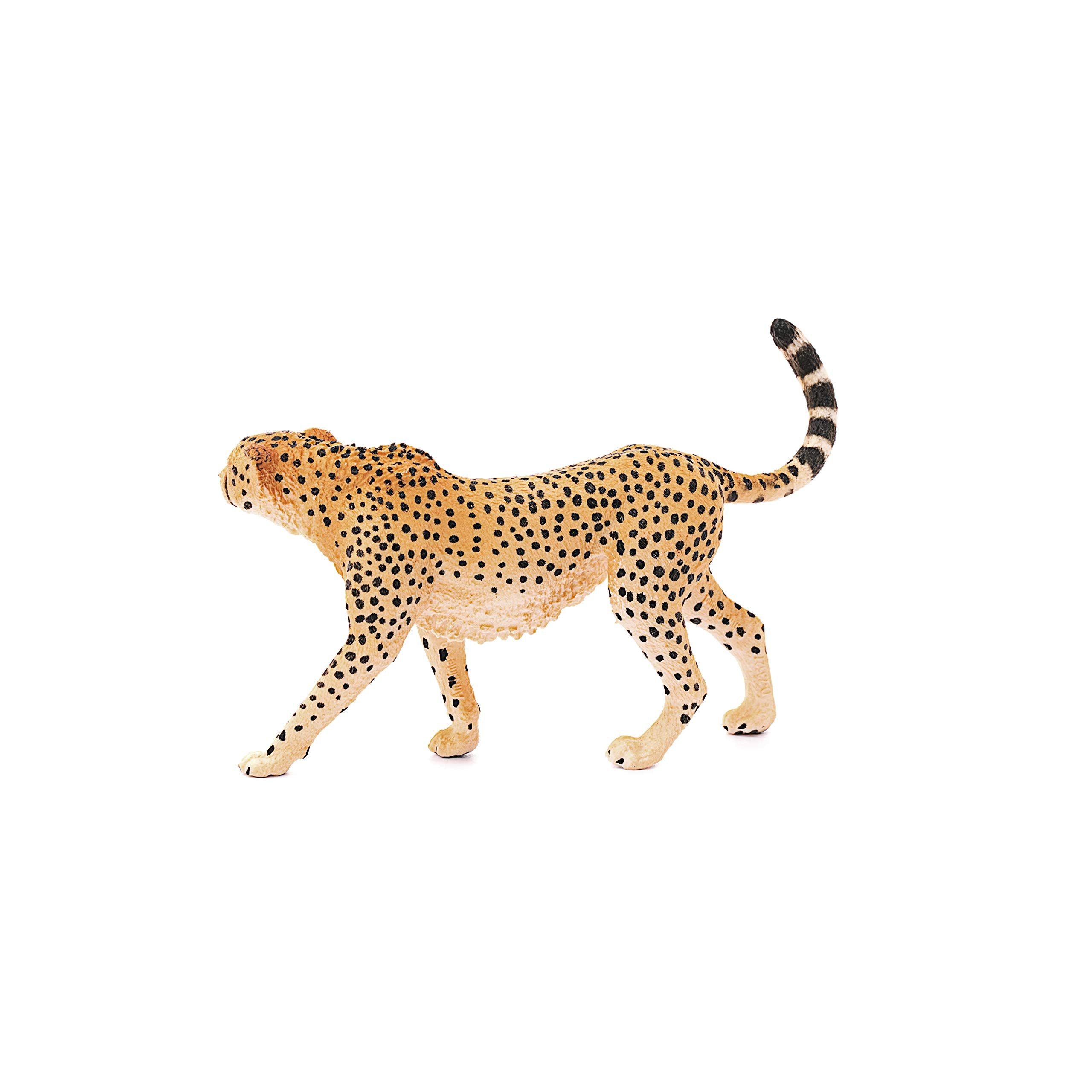 Schleich Cheetah Female Figurine - Wild Life Collection | Ages 3+ | 3.9 inches Tall 4