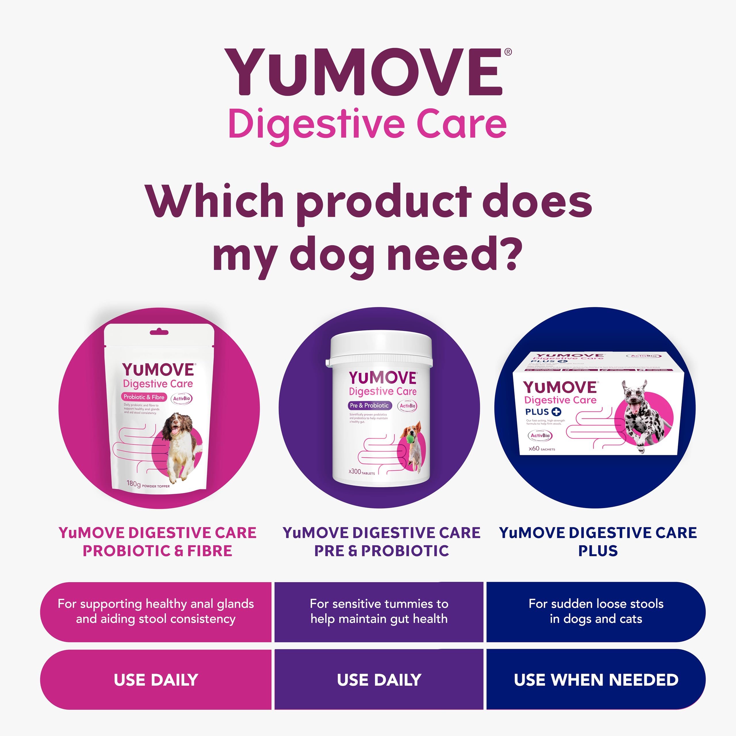 YuMOVE Digestive Care PLUS Pre and Probiotics Supplement for Dogs & Cats | 60 Sachets | Powder Form 5