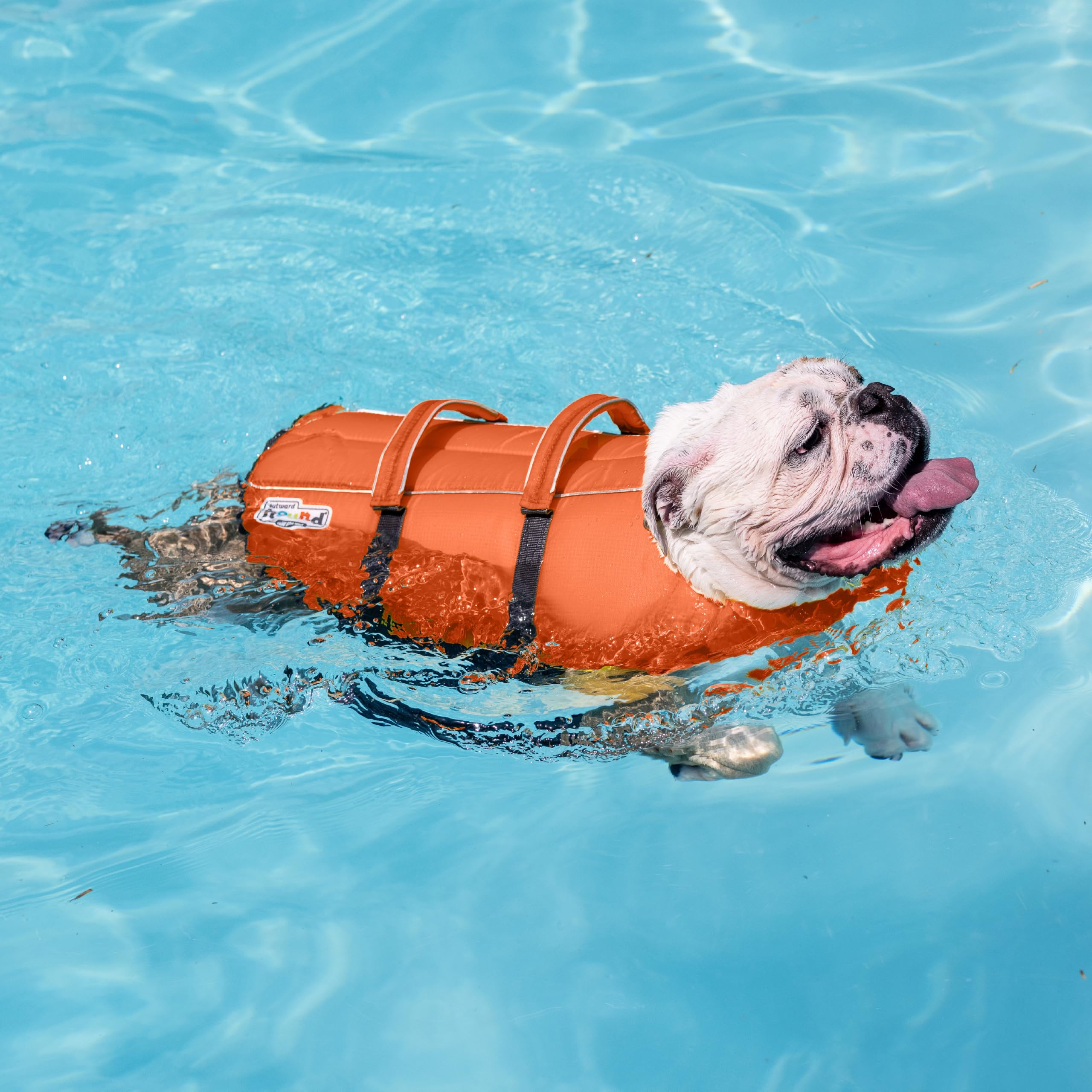 Outward Hound Granby Splash Dog Life Jacket - Small, Orange | Adjustable, Reflective Accents 6