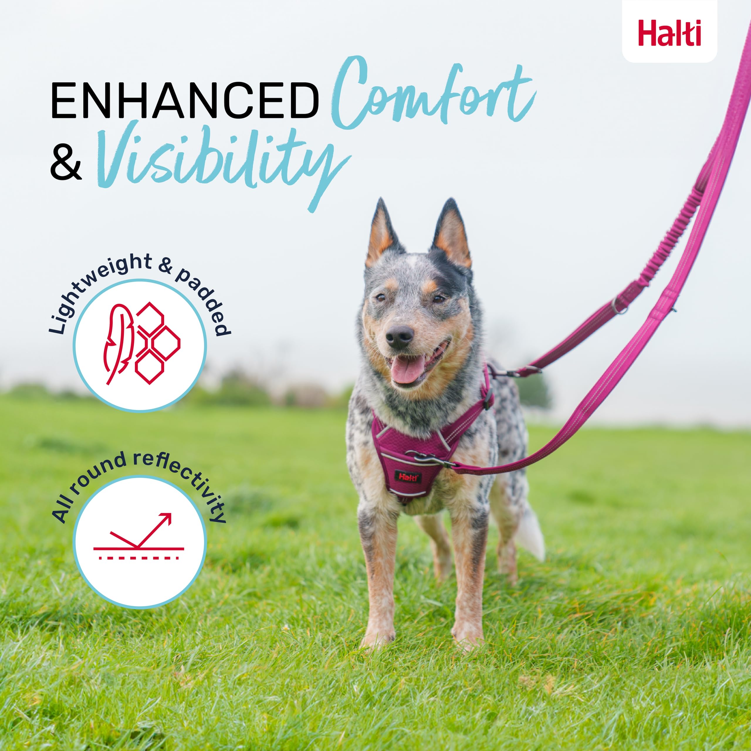 Halti Anatomy Multifunctional Dog Lead - Shock Absorbing Bungee | Teal, Size L (Up to 55kg) 4