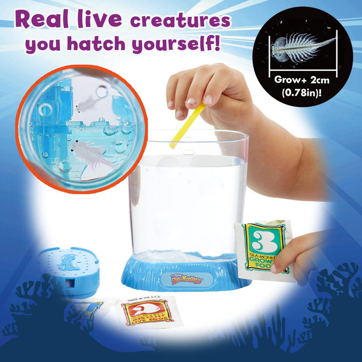 Sea Monkeys Ocean Treasure Aquarium - Educational Science Kit for Kids 6+