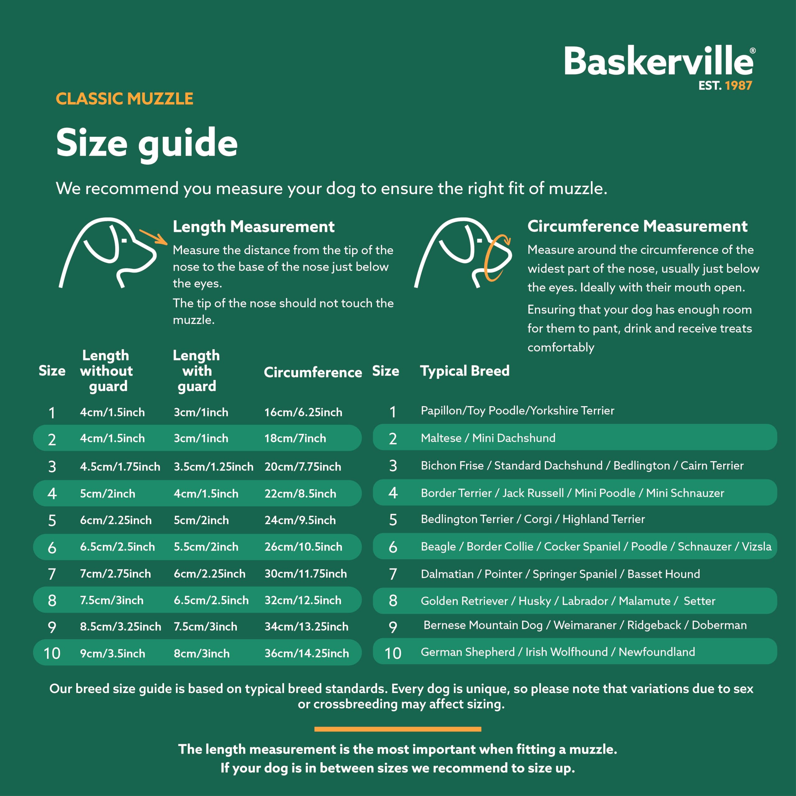 Baskerville Classic Basket Muzzle - Size 2, Brown, Prevents Biting & Scavenging | TPE 5