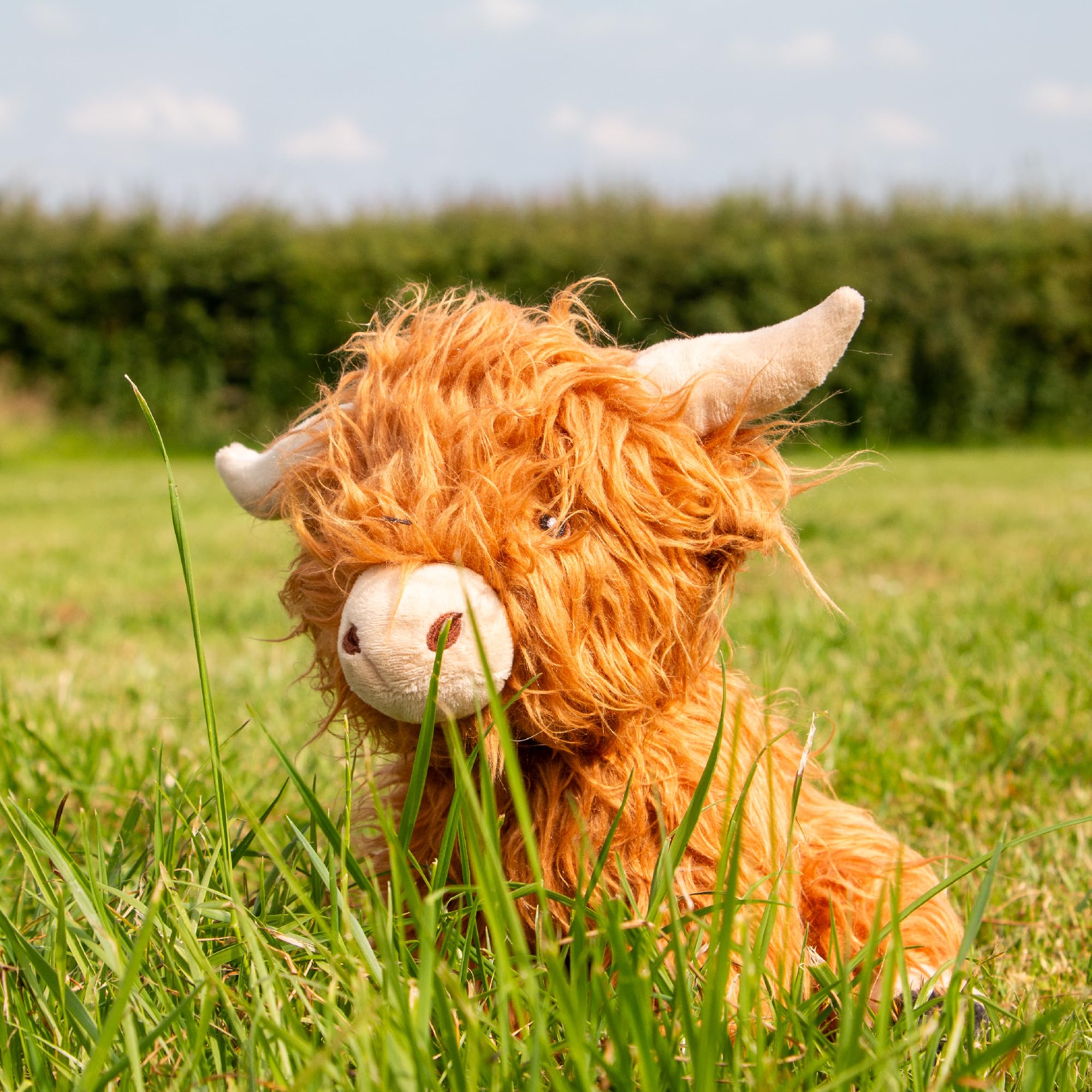 Ancol Heritage Fergus Highland Cow Plush Dog Toy with Squeaker | 23cm 4