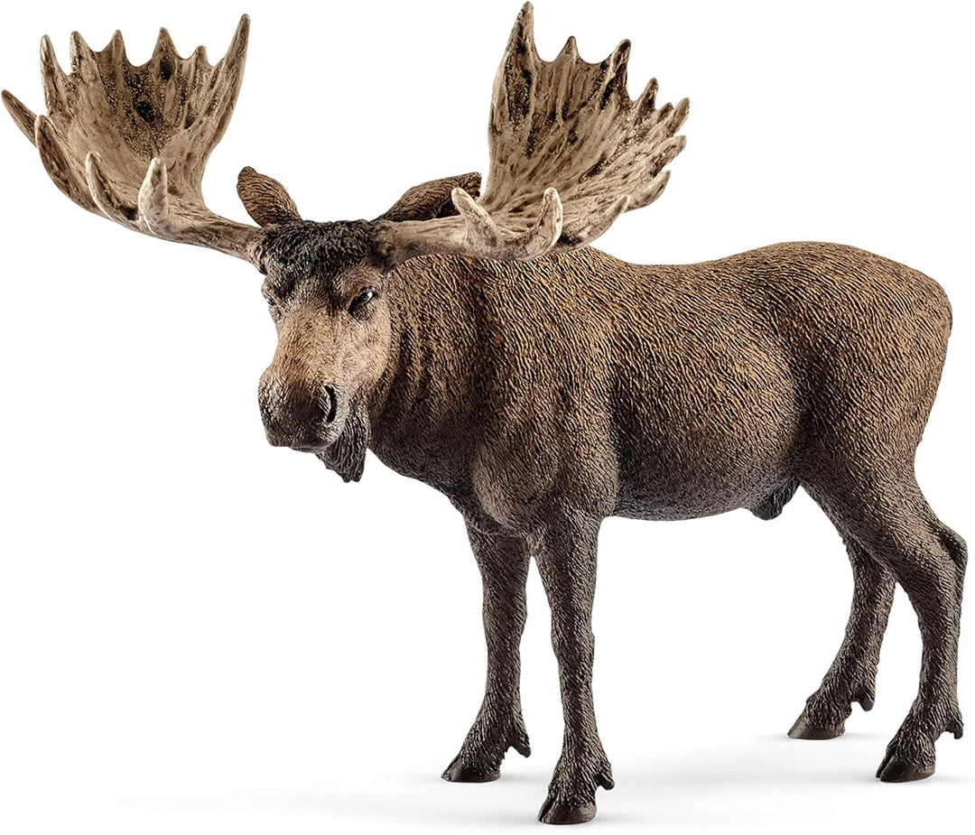 Schleich 14781 Moose Bull Figurine - Hand-Painted Wildlife Animal Toy for Kids, 13 x 7 x 11 cm