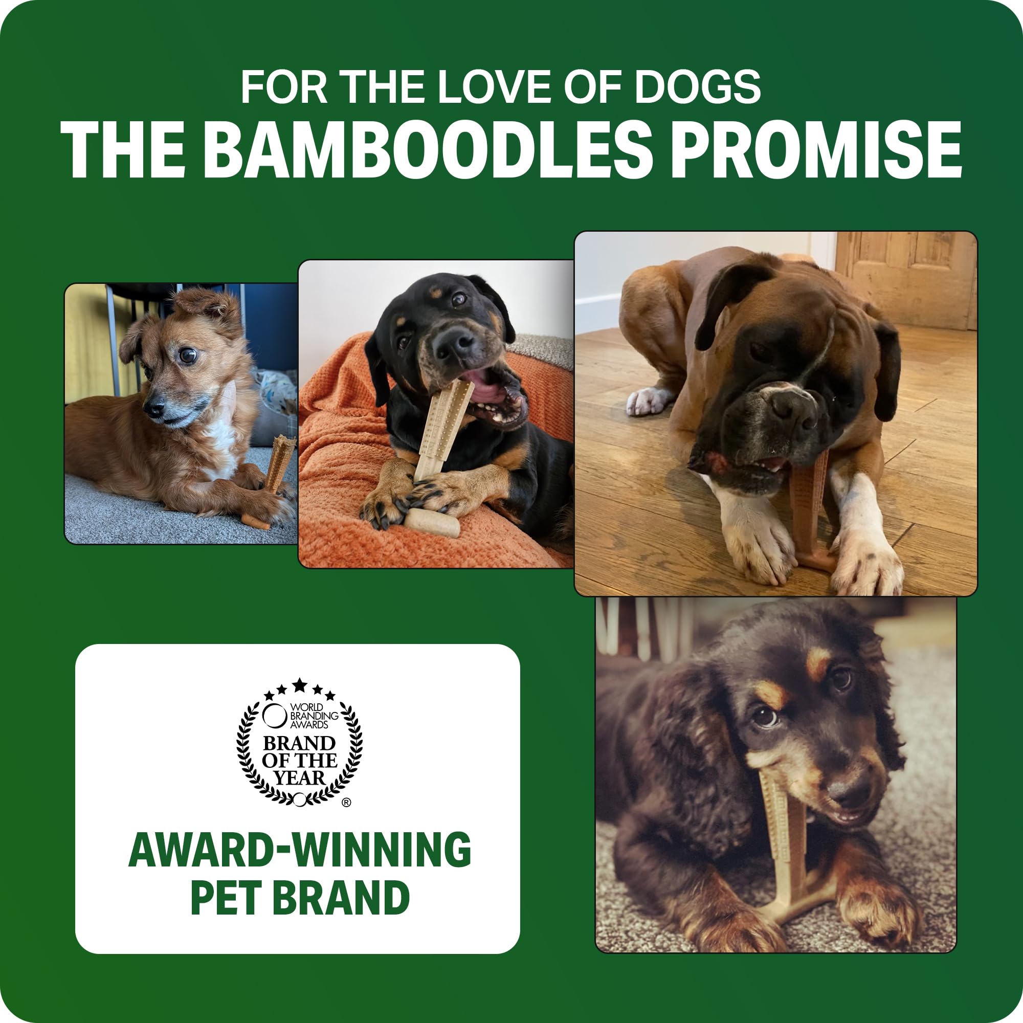 Bamboodles T-Bone Dog Chew Toy - Small Size | Cheese Flavour | Durable Natural Bamboo Fibre 7