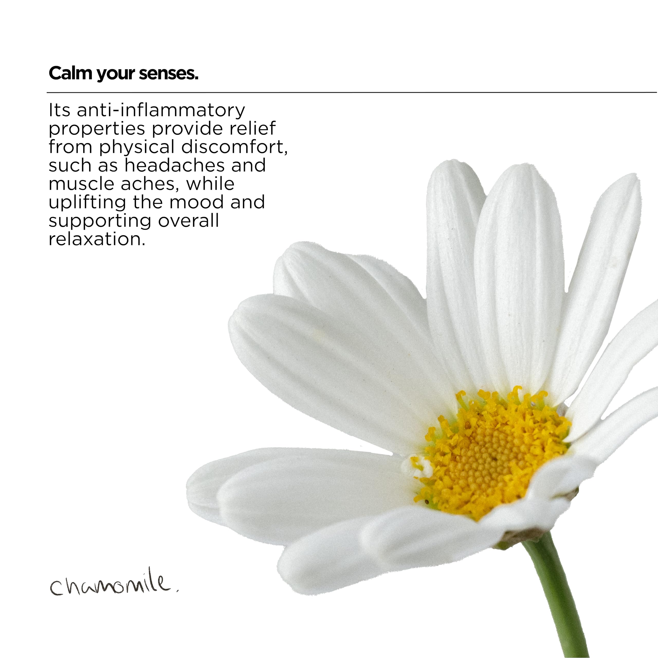 The Lab Co. Soothing Fabric Conditioner & Laundry Softener - Non-Bio, Ultra Concentrated, Plant & Mineral Based 6