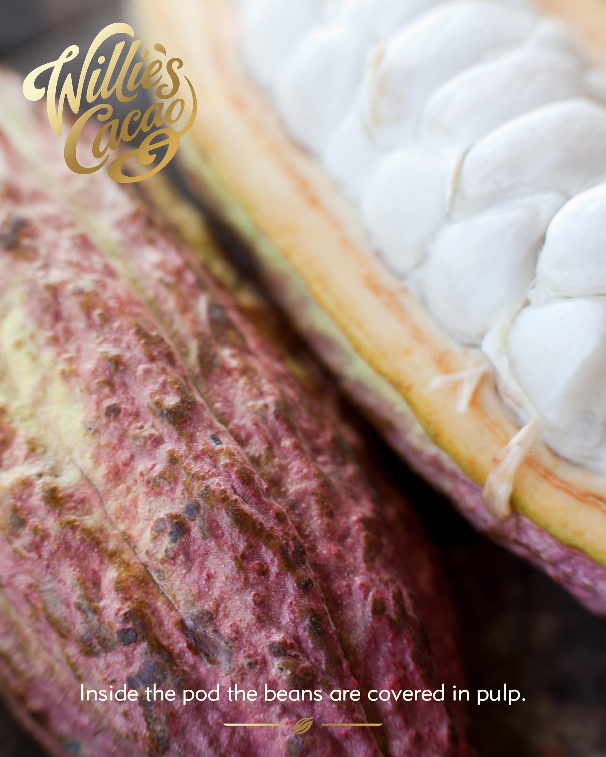 Willie’s Cacao - Dark Chocolate Salted Caramel Pearls 150g – Gift Box of 20 Individually Wrapped Pearls with Molten Sea Salt Caramel