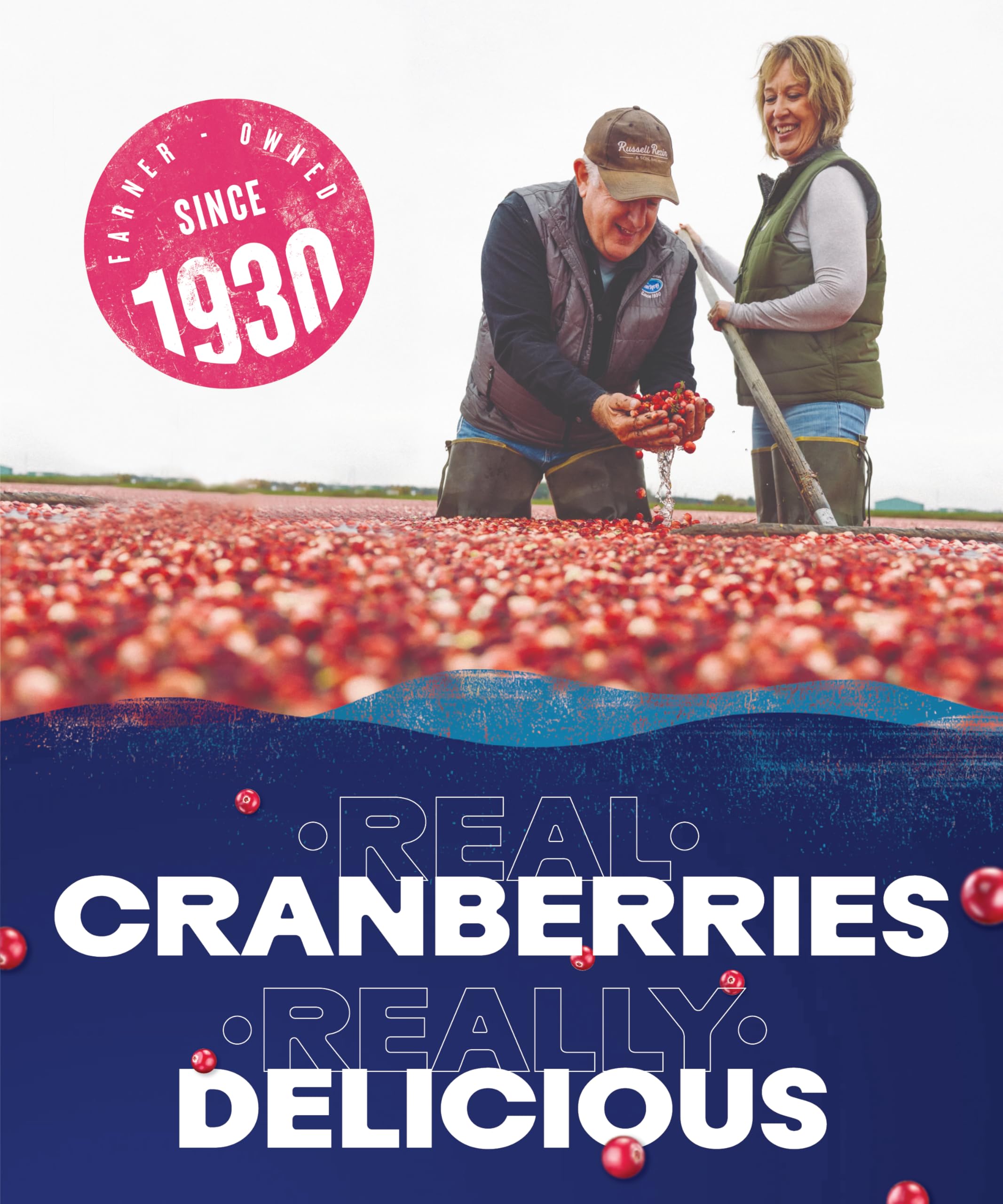 Ocean Spray Pink Cranberry Juice Drink - No Added Sugar | 1L Carton | Rich in Vitamin C 5