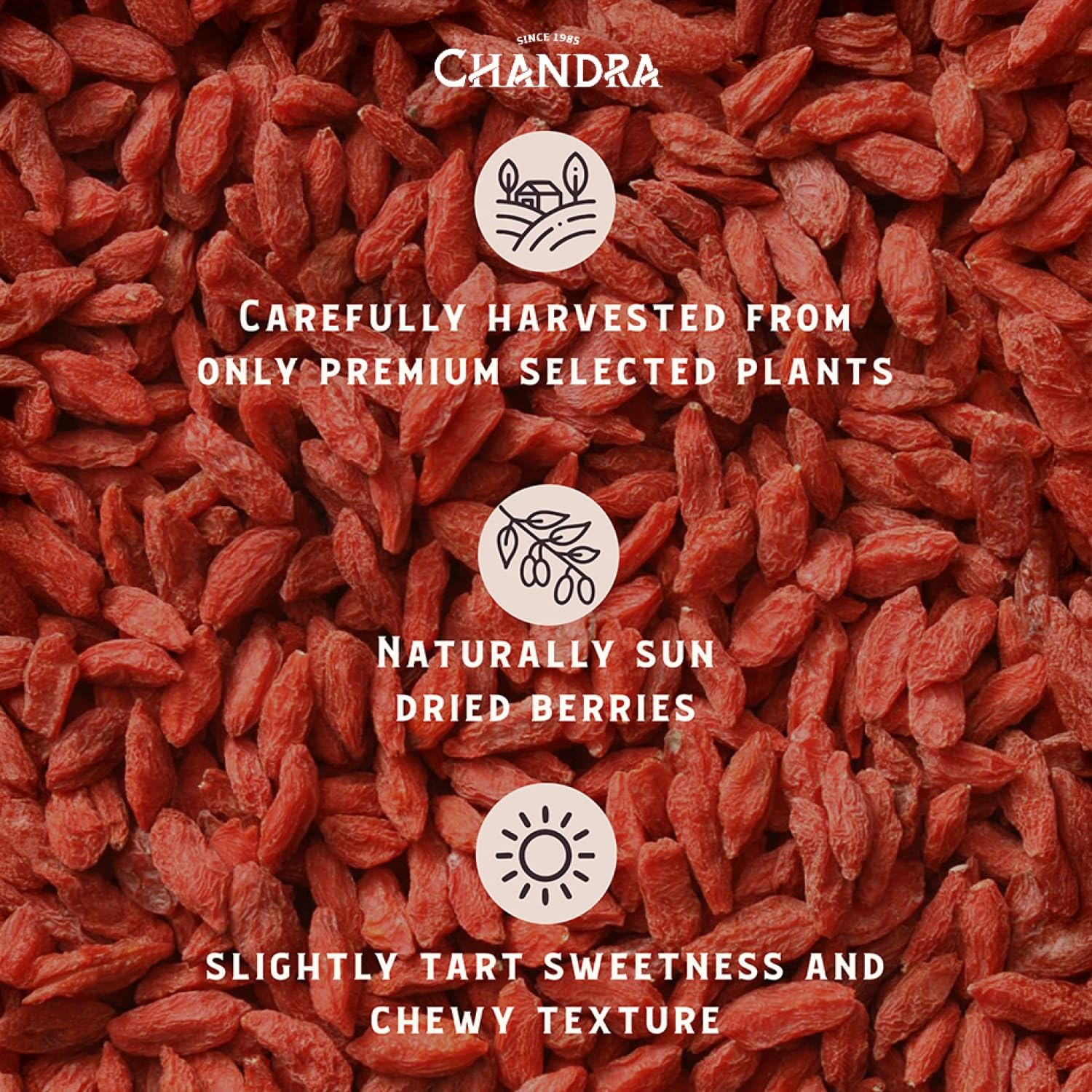 CHANDRA Whole Foods Goji Berries - 1KG Dried Super Fruit | Low-GI, High Protein 4