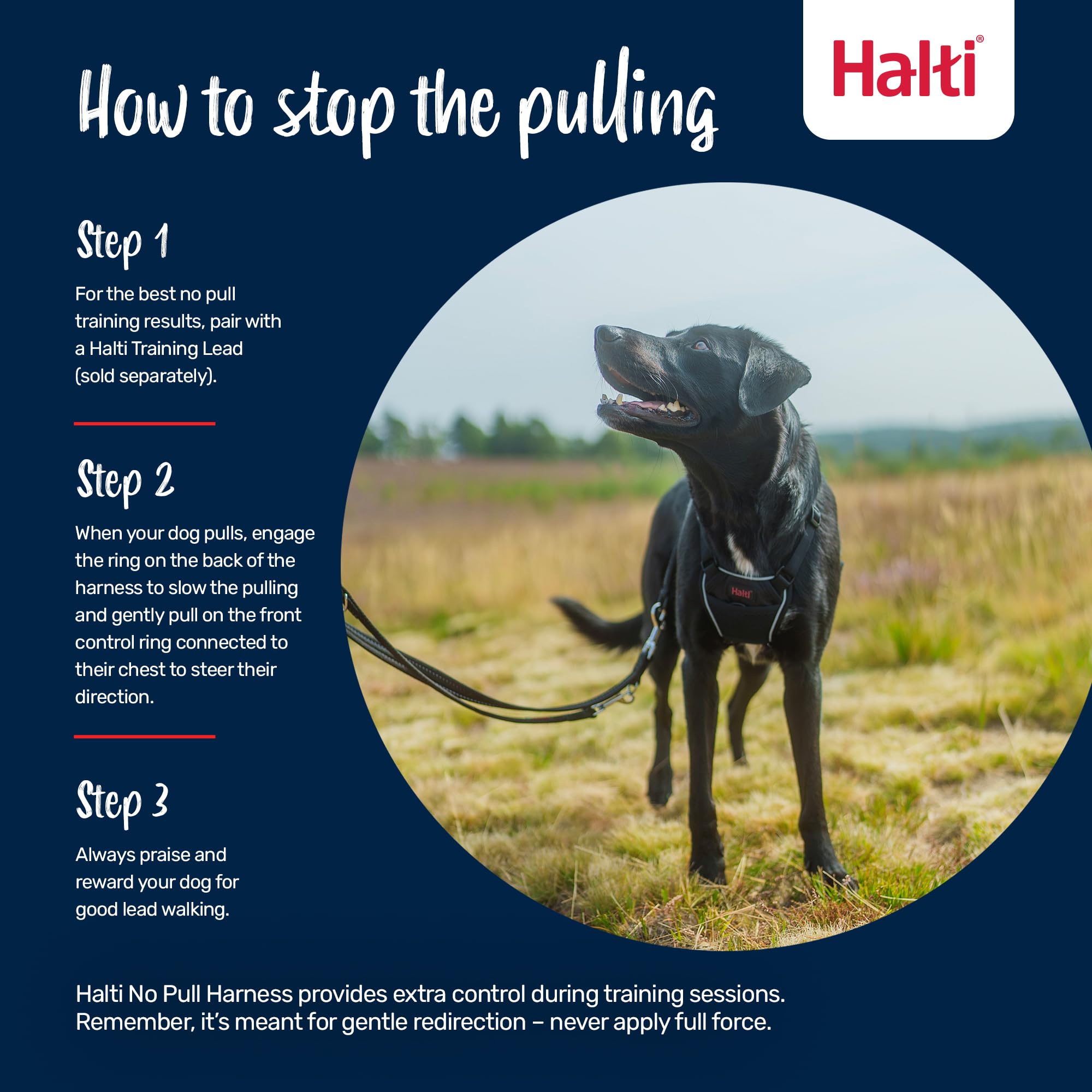 Halti No Pull Harness - Stops Leash Pulling | Adjustable | Size M | Dark Orange 4