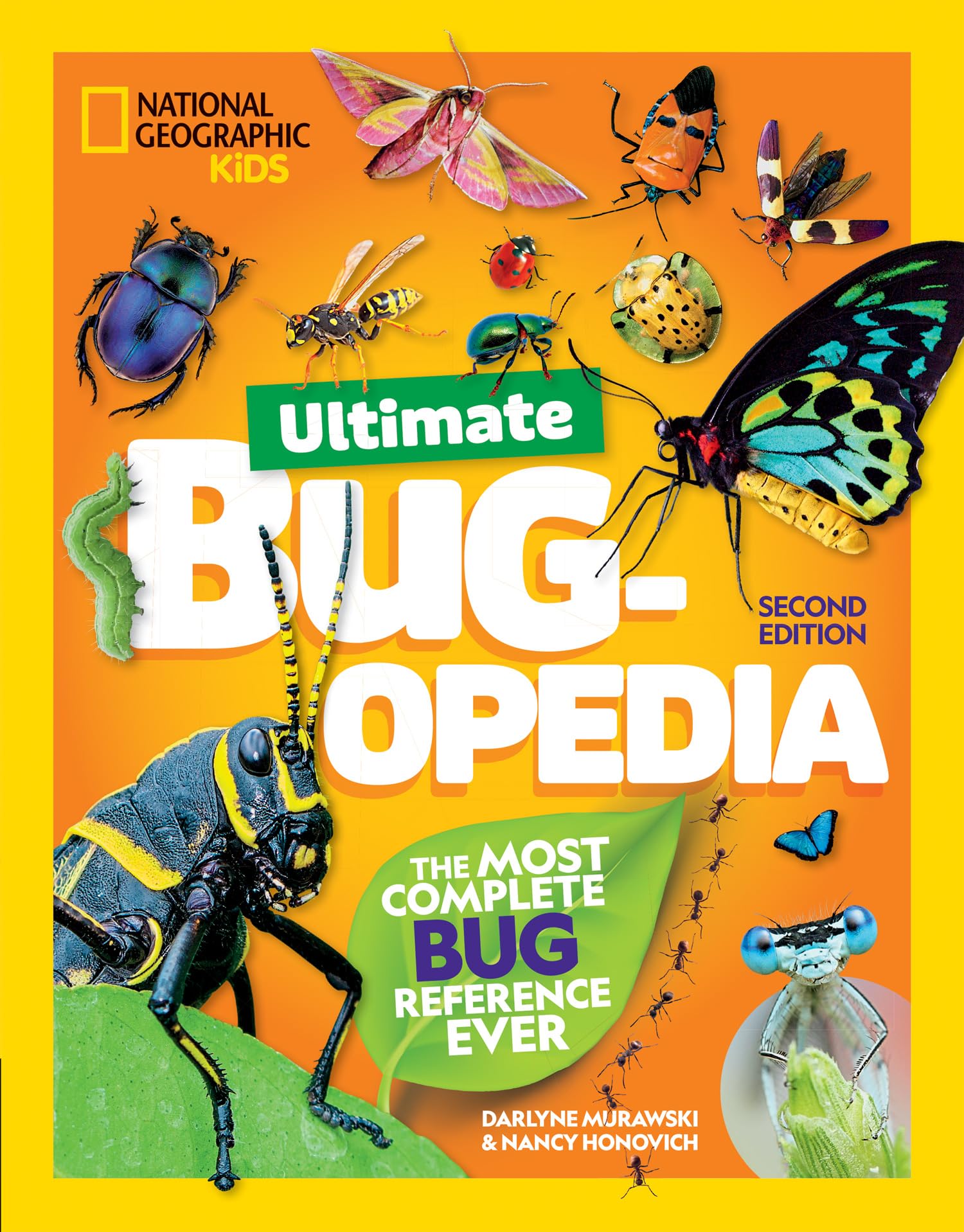 Collins Ultimate Bug-opedia: Fact-Packed Insect Encyclopedia for Young Explorers | Hardcover