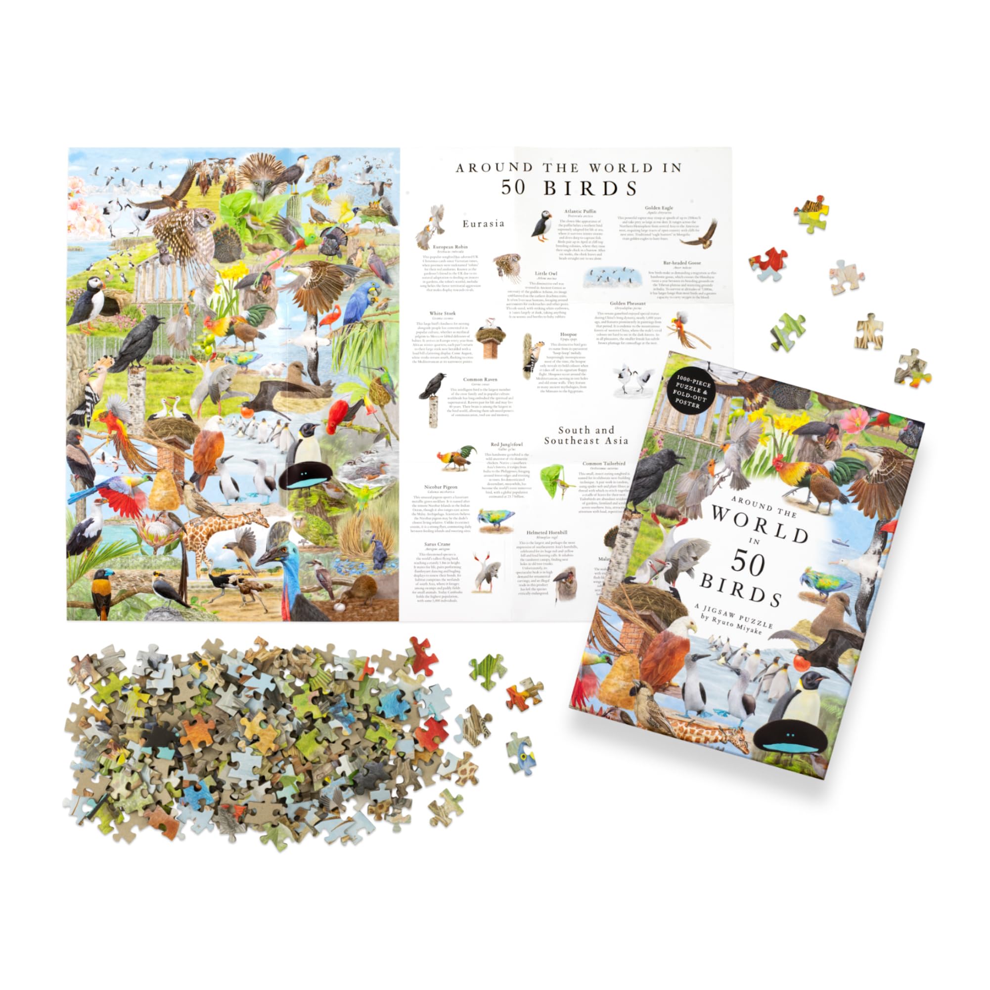 Around the World in 50 Birds: 1000-Piece Jigsaw Puzzle by Laurence King Publishing 6