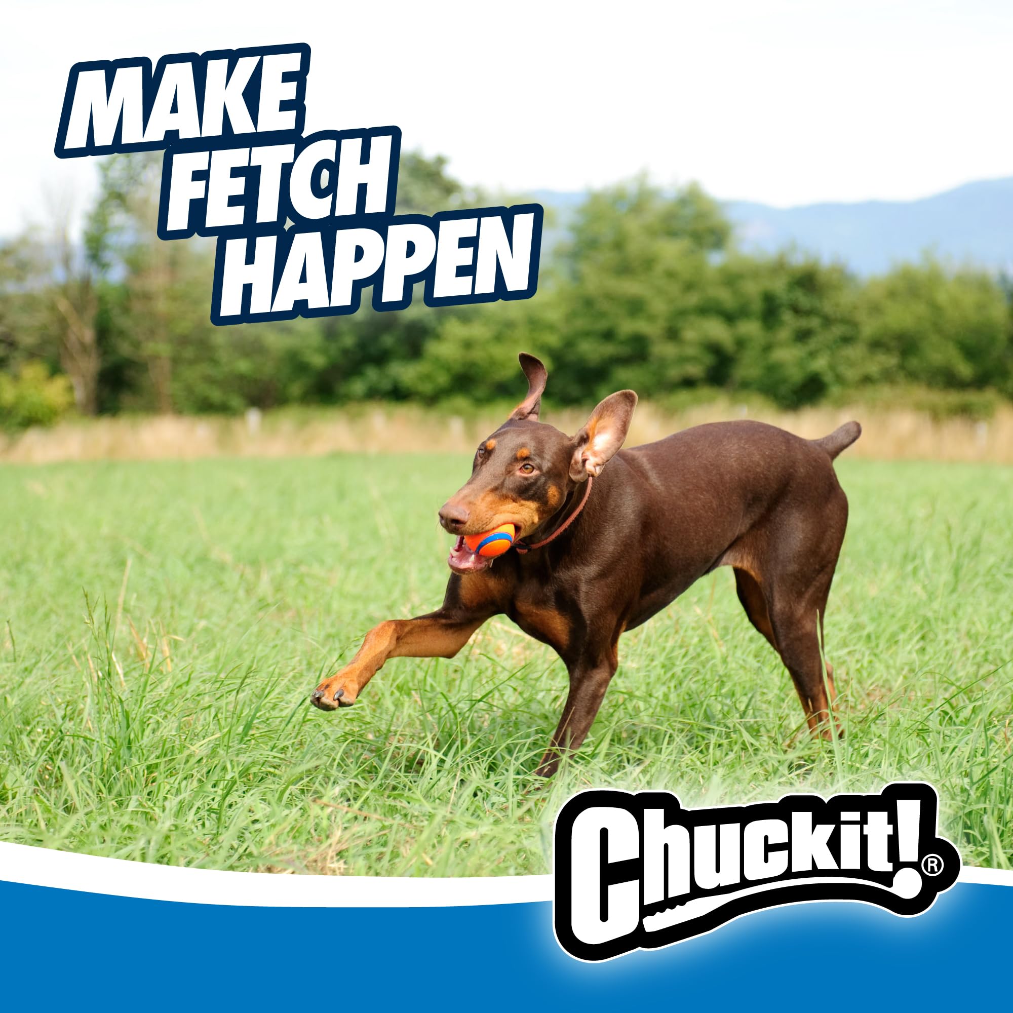 Chuckit! Ultra Ball - High Bounce Fetch Toy | 7 cm Diameter | Natural Rubber 6