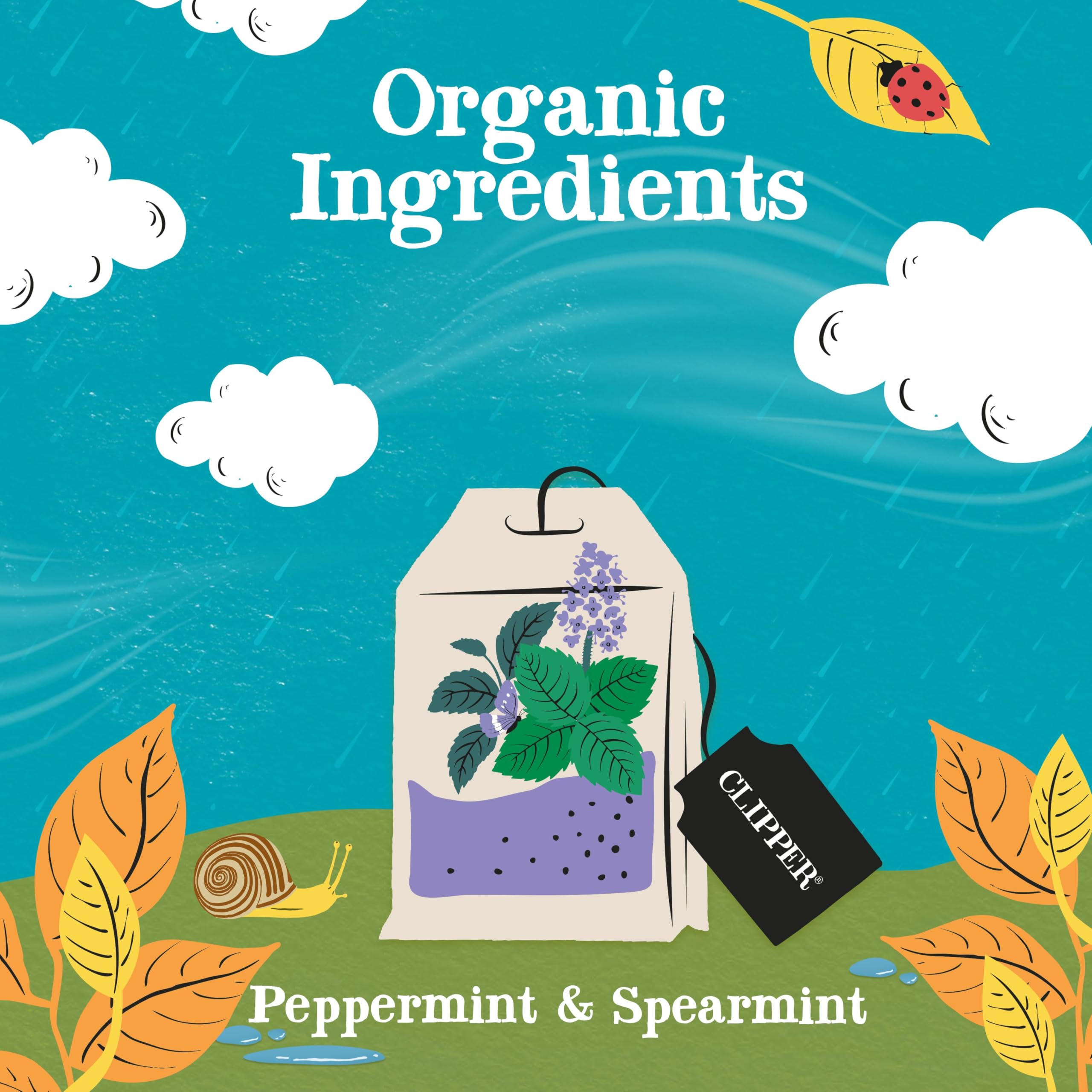 Clipper Organic Peppermint & Spearmint Infusions Fruit Teabags - 80 Unbleached Tea Bags 10