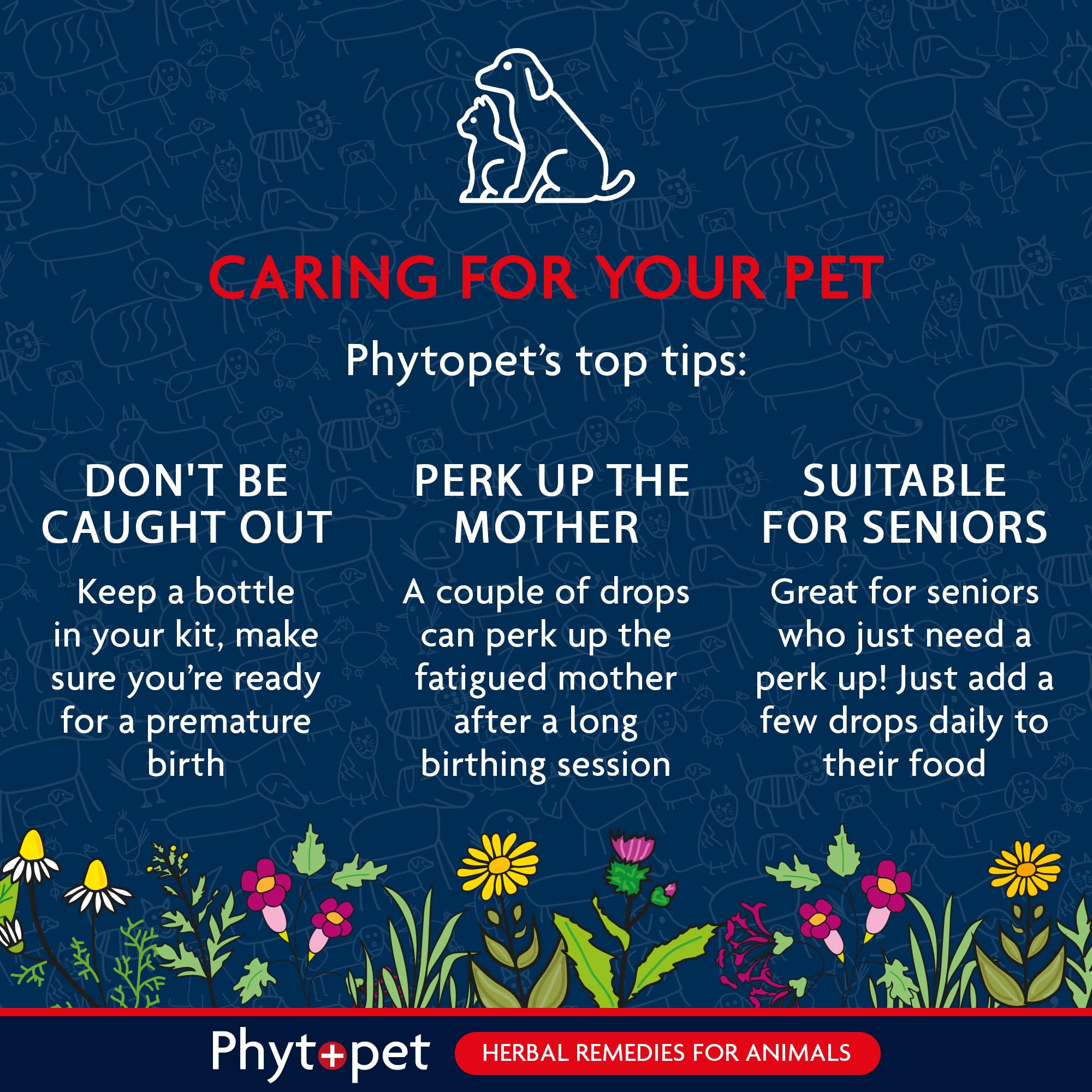 Phytopet Life Drops - Natural Herbal Stimulant for Newborn & Elderly Pets | 10 ml 6