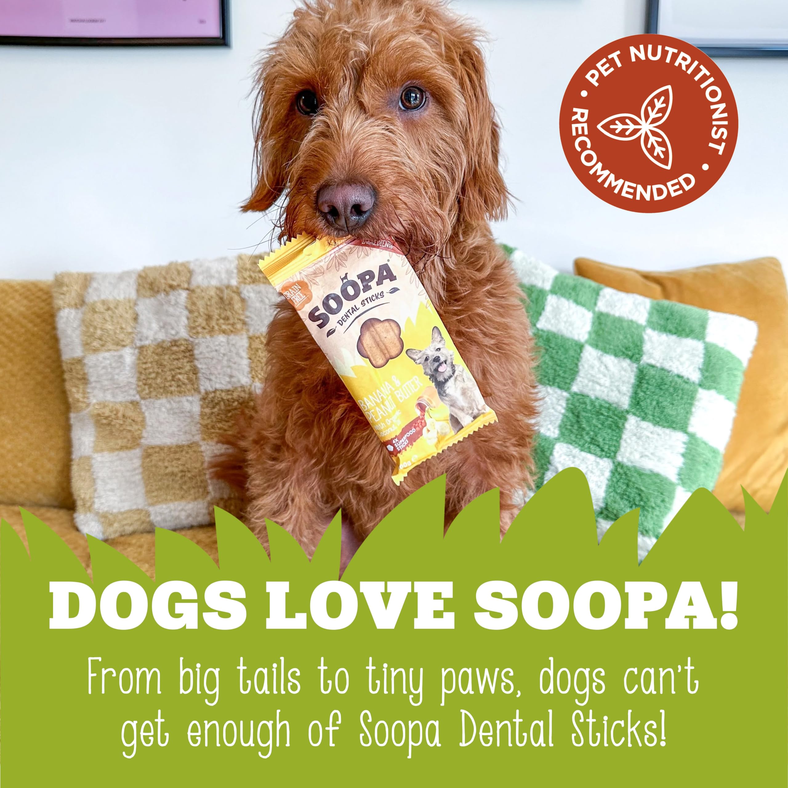 Soopa Gingerbread Biscuit Dog Dental Sticks - 100g | Hypo-allergenic | Aids Digestion 6