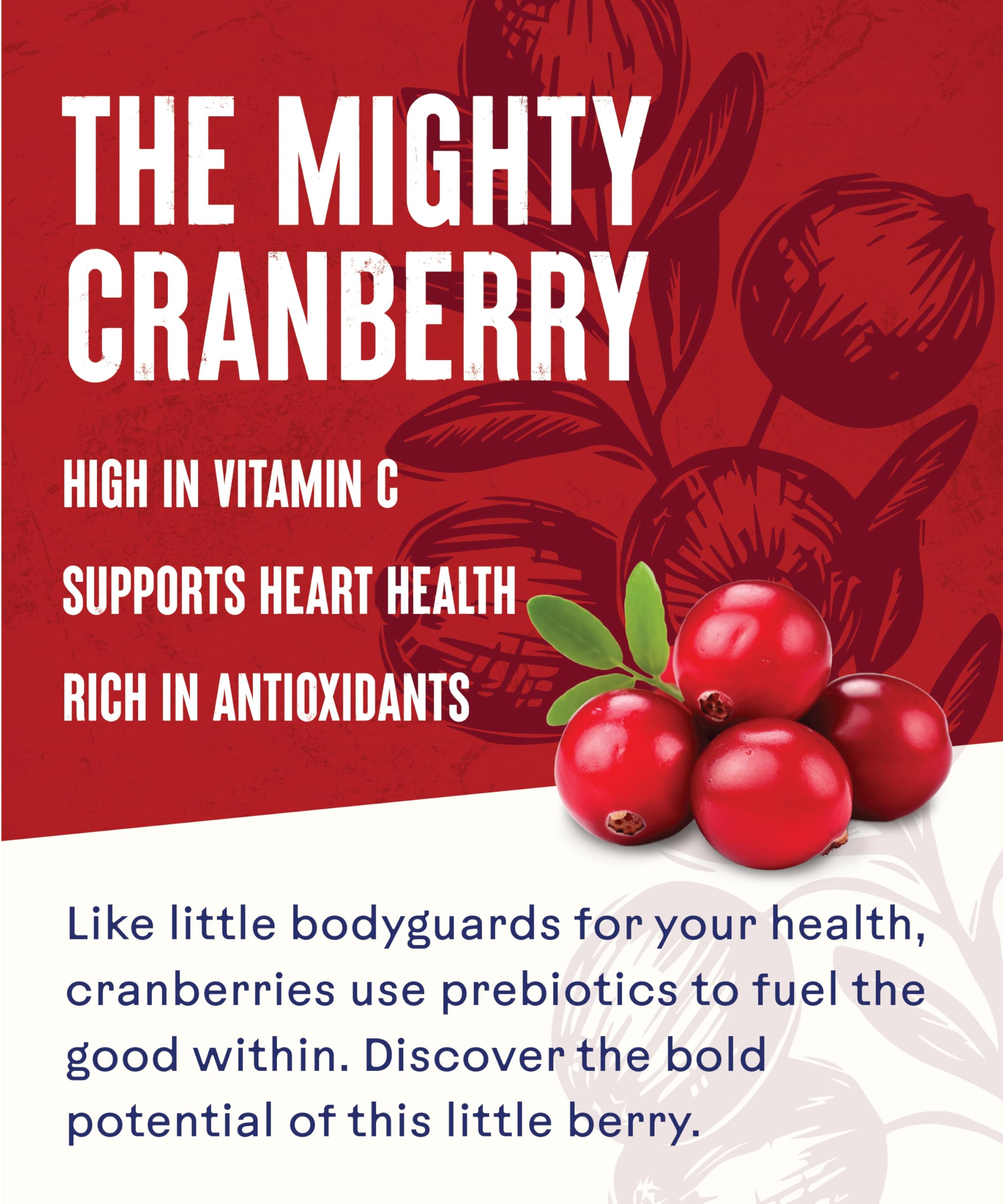 Ocean Spray Classic Cranberry Juice Drink - No Added Sugar | 1L Carton | Rich in Vitamin C 4