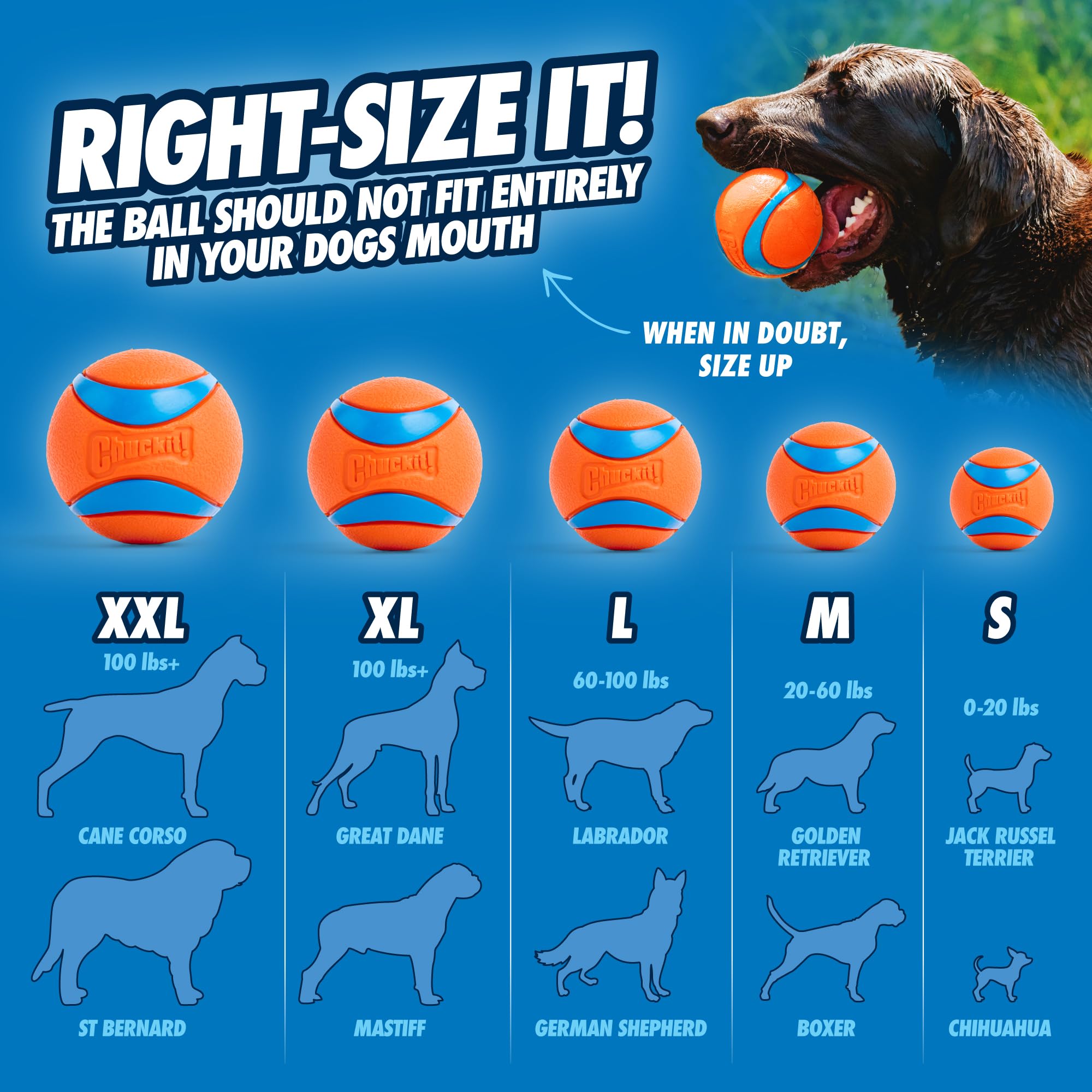Chuckit! Ultra Ball - High Bounce Fetch Toy for Dogs | 9 cm | 1 Piece 6