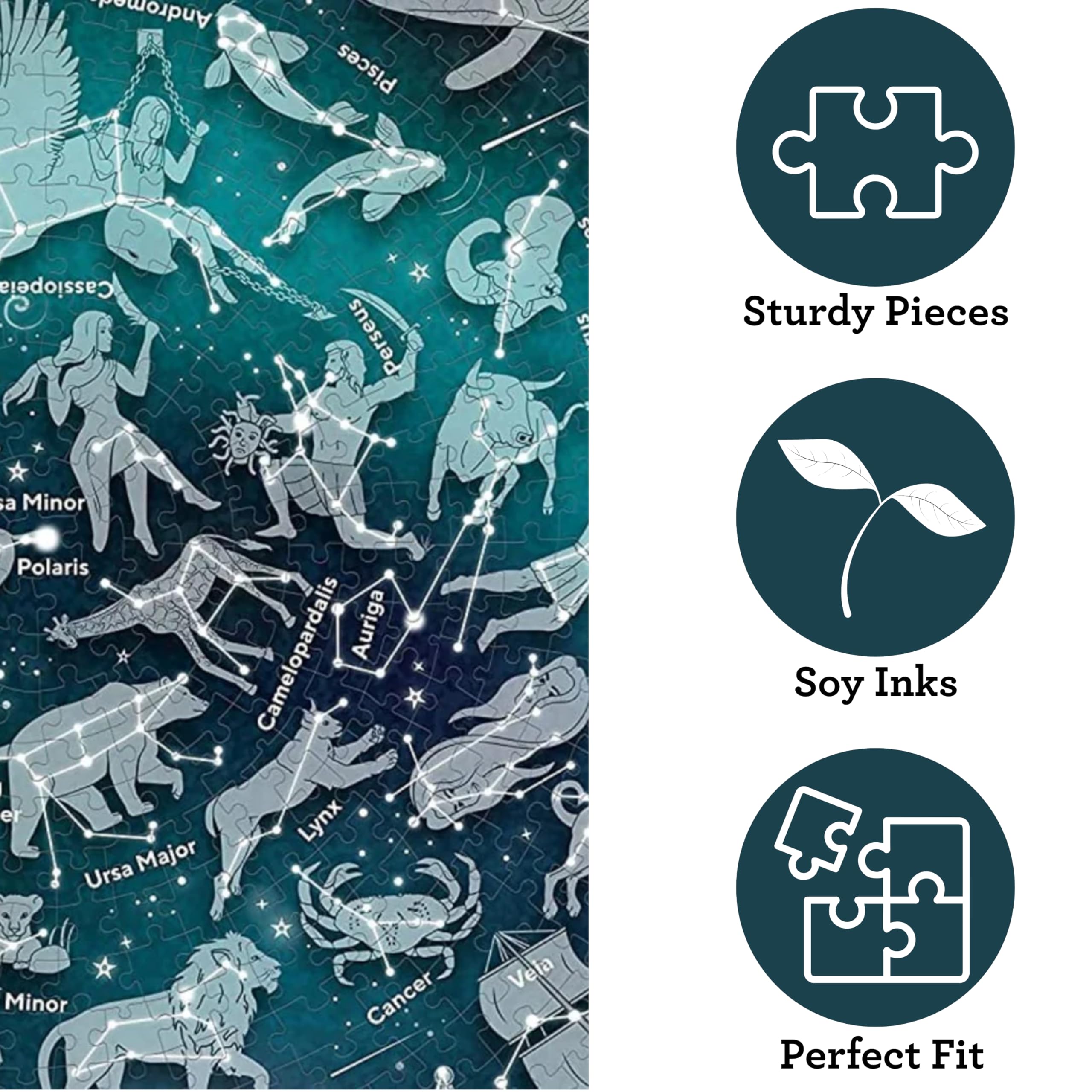 Ridley's Map of the Stars 1000-Piece Jigsaw Puzzle - Circular Astronomy Puzzle for Adults 9