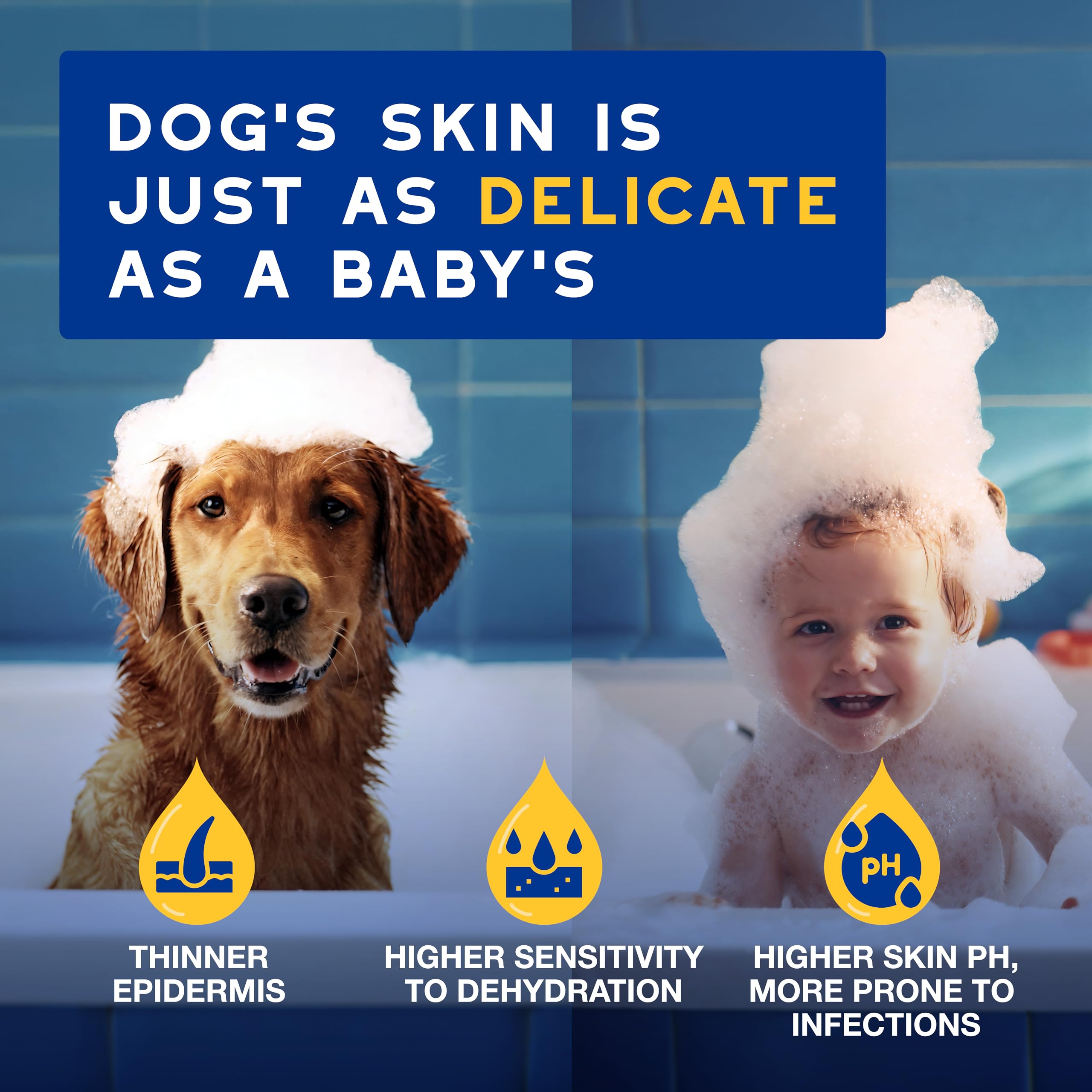 Douxo Skin & Coat SPA Oatmeal Dog Shampoo - Deep Hydration & Cleansing | 250 ml 3