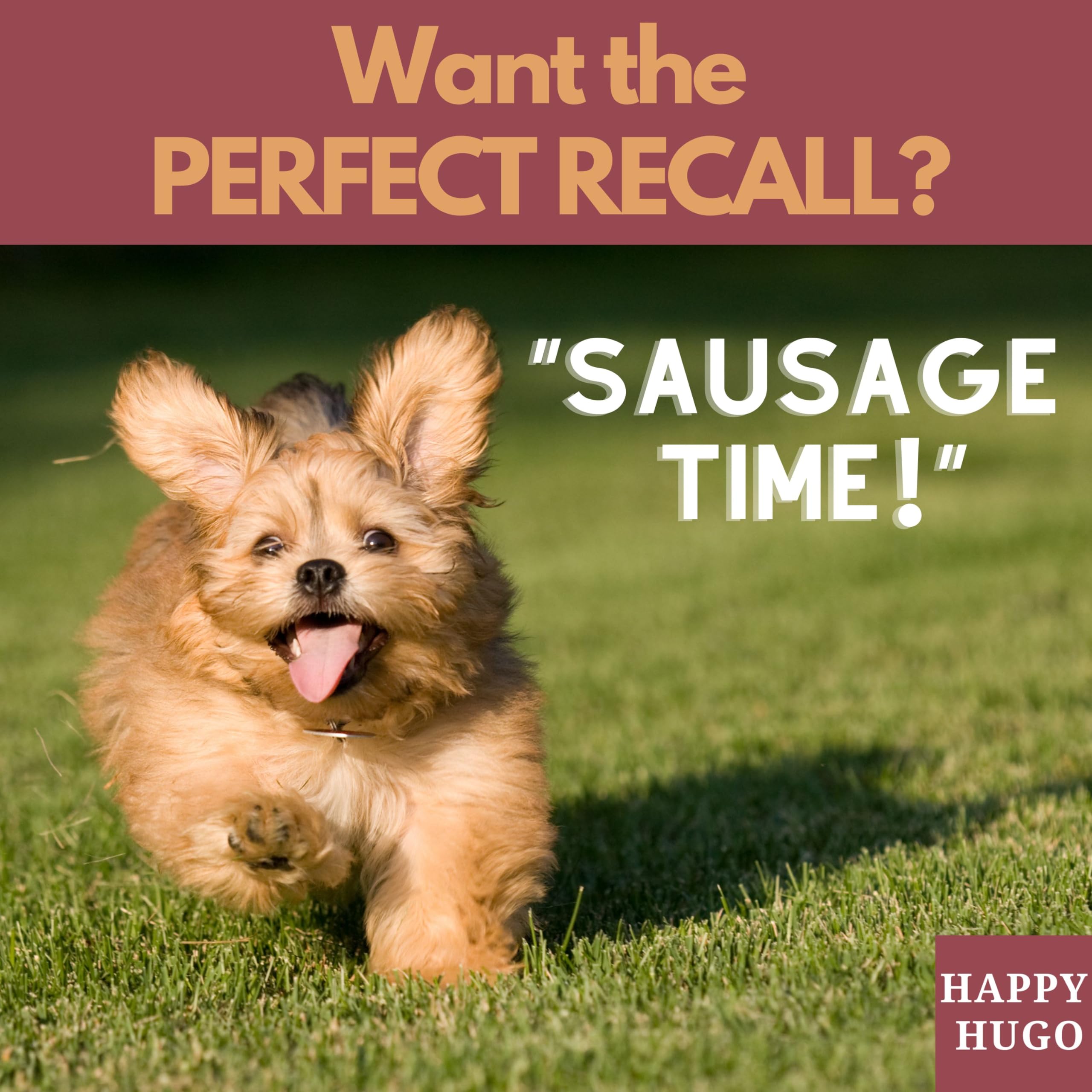 Happy Hugo Sliced Deli Dog Sausages - 100% British Chicken Treats for Dogs 12