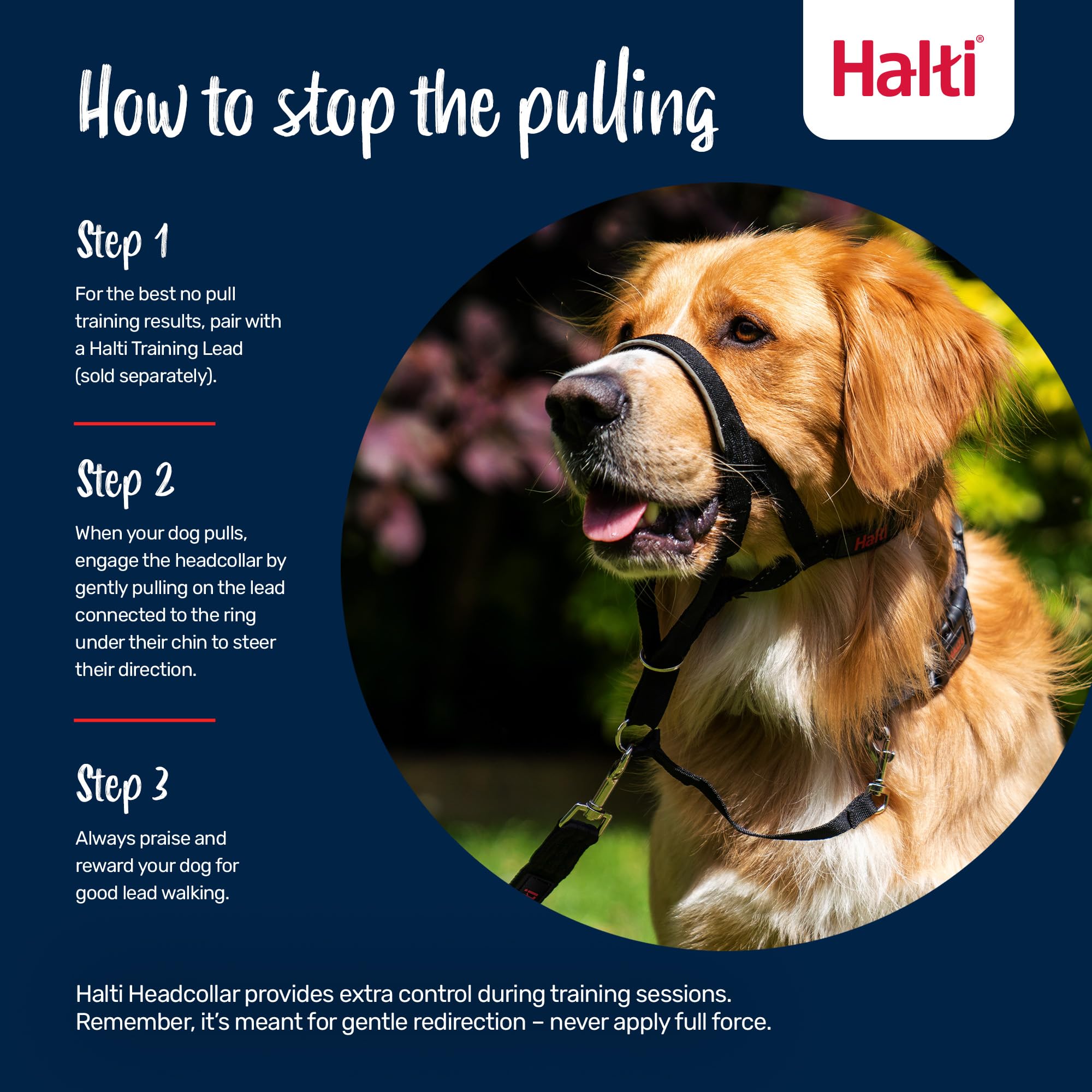 Halti Headcollar - Stops Pulling | Reflective Accents | Size 3, Desert Sand 4