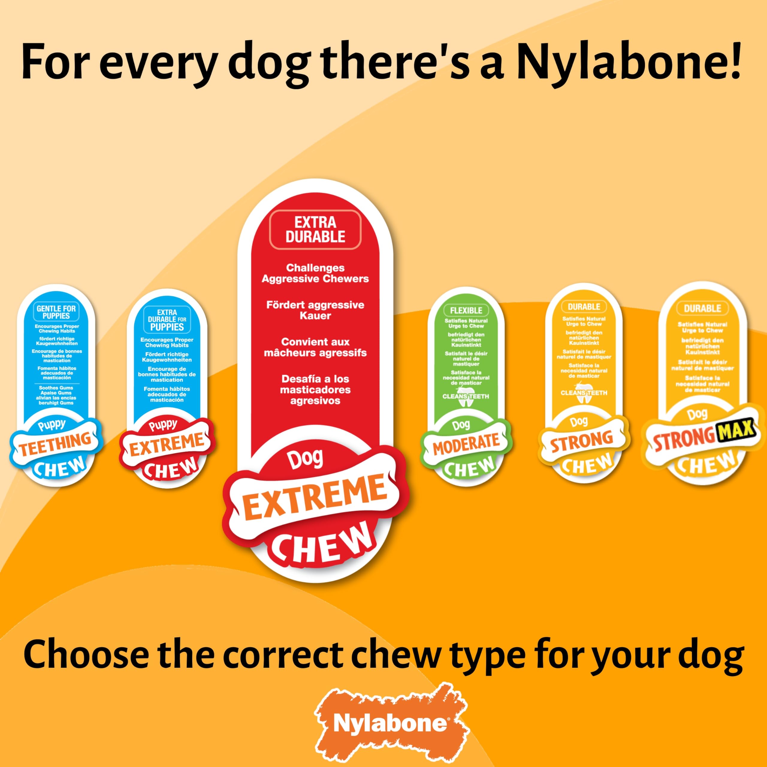 Nylabone Extreme Chewers Broccoli Dog Chew Toy - Bacon & Cheese Scent, Large 5