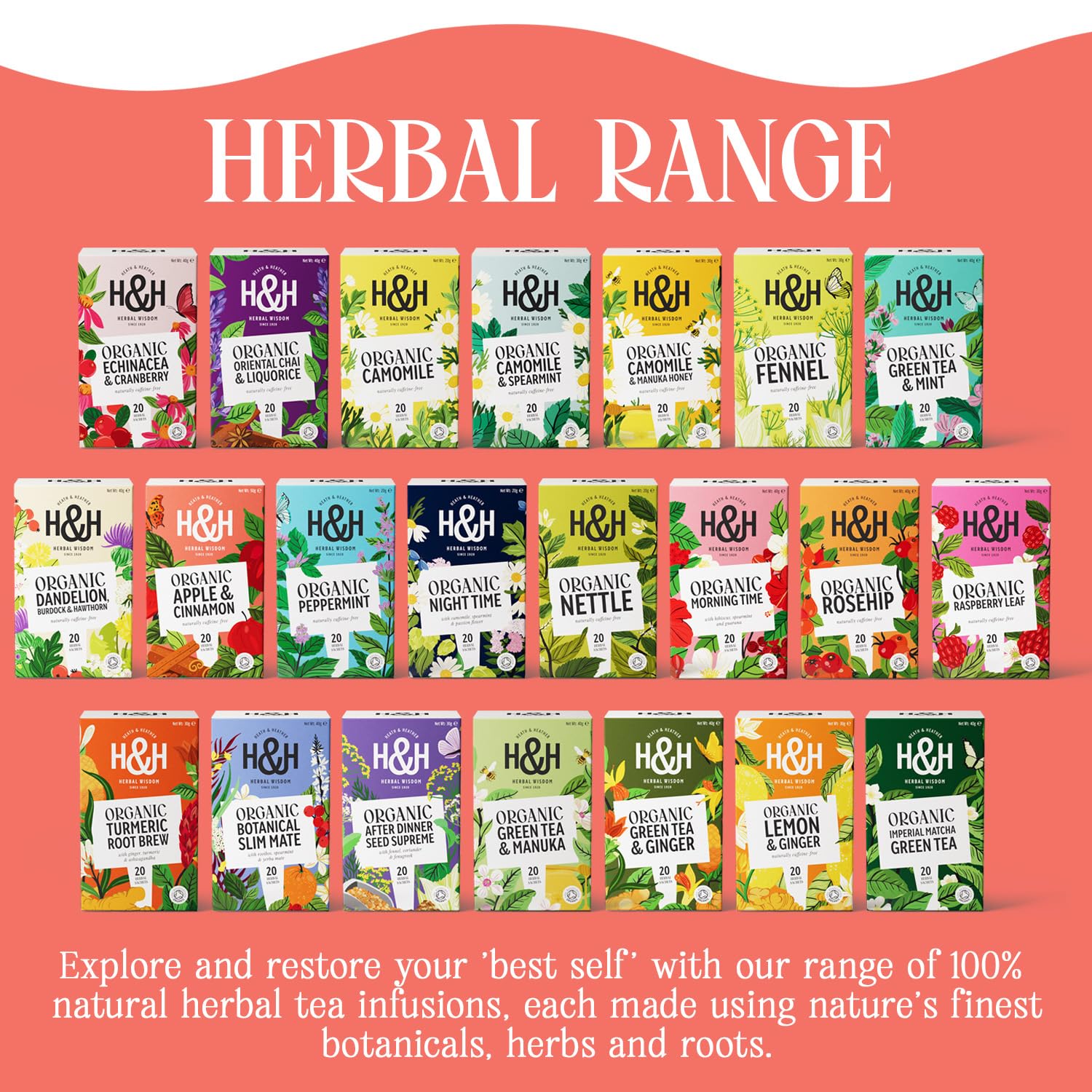 Heath & Heather Organic Apple & Cinnamon Herbal Tea - 20 Count Teabags | Supports Digestion & Relaxation 6