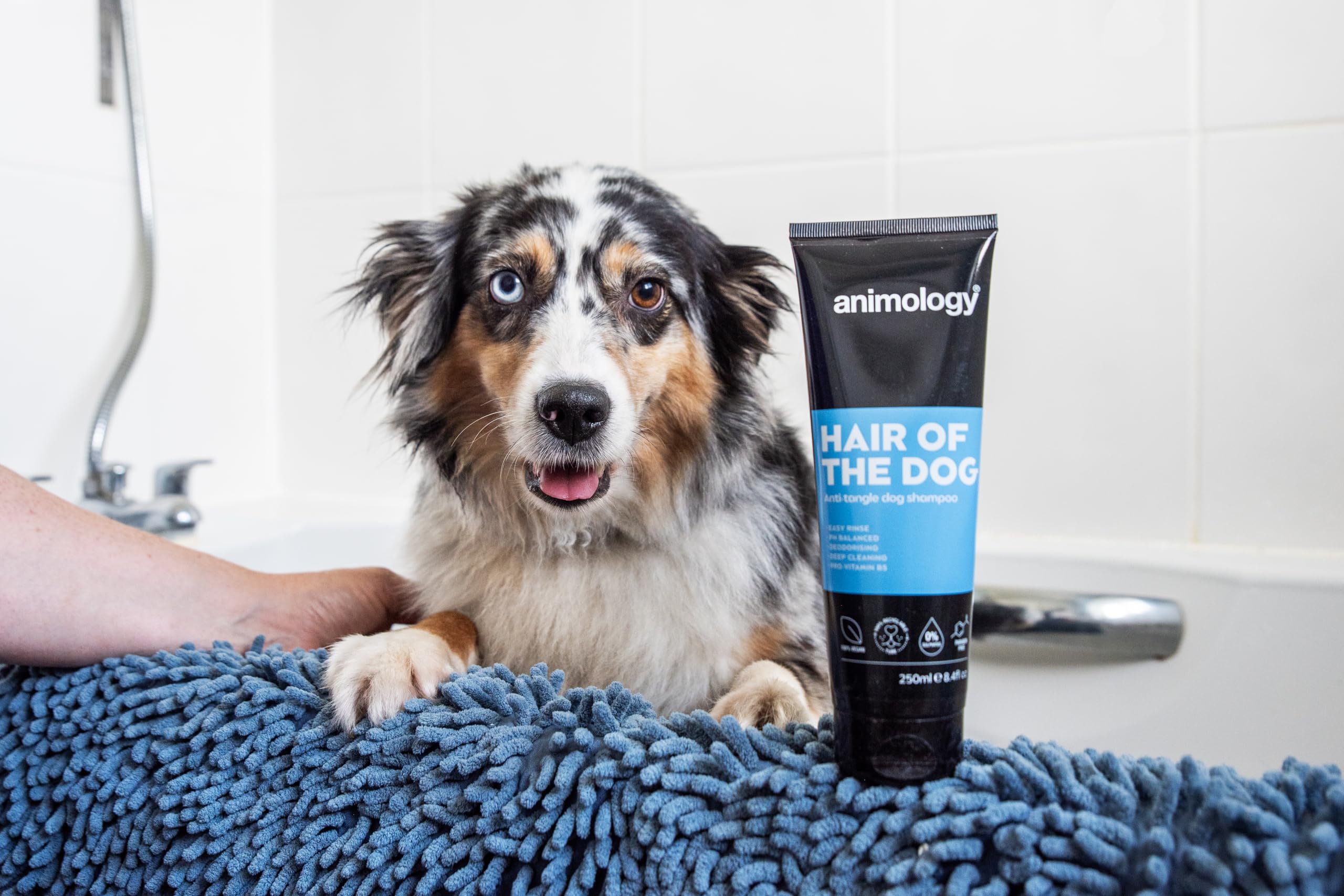Animology Hair of the Dog Detangling Dog Shampoo - 250 ml | Built-in Conditioner | Pro-Vitamin B5 6