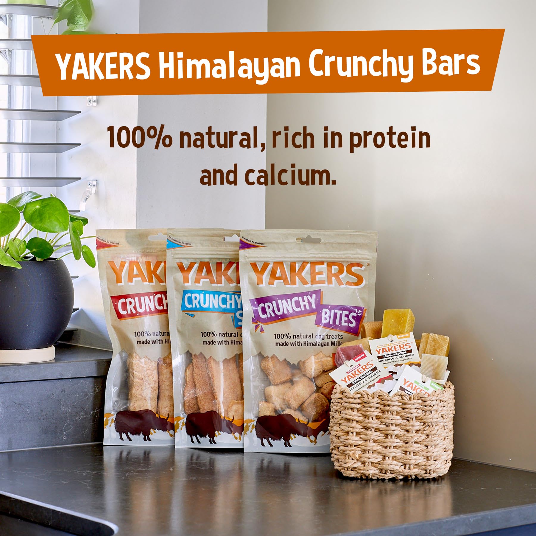 Yakers Peanut Butter Dog Chew for Adult Dogs - 70g Stick | Promotes Dental Hygiene 9