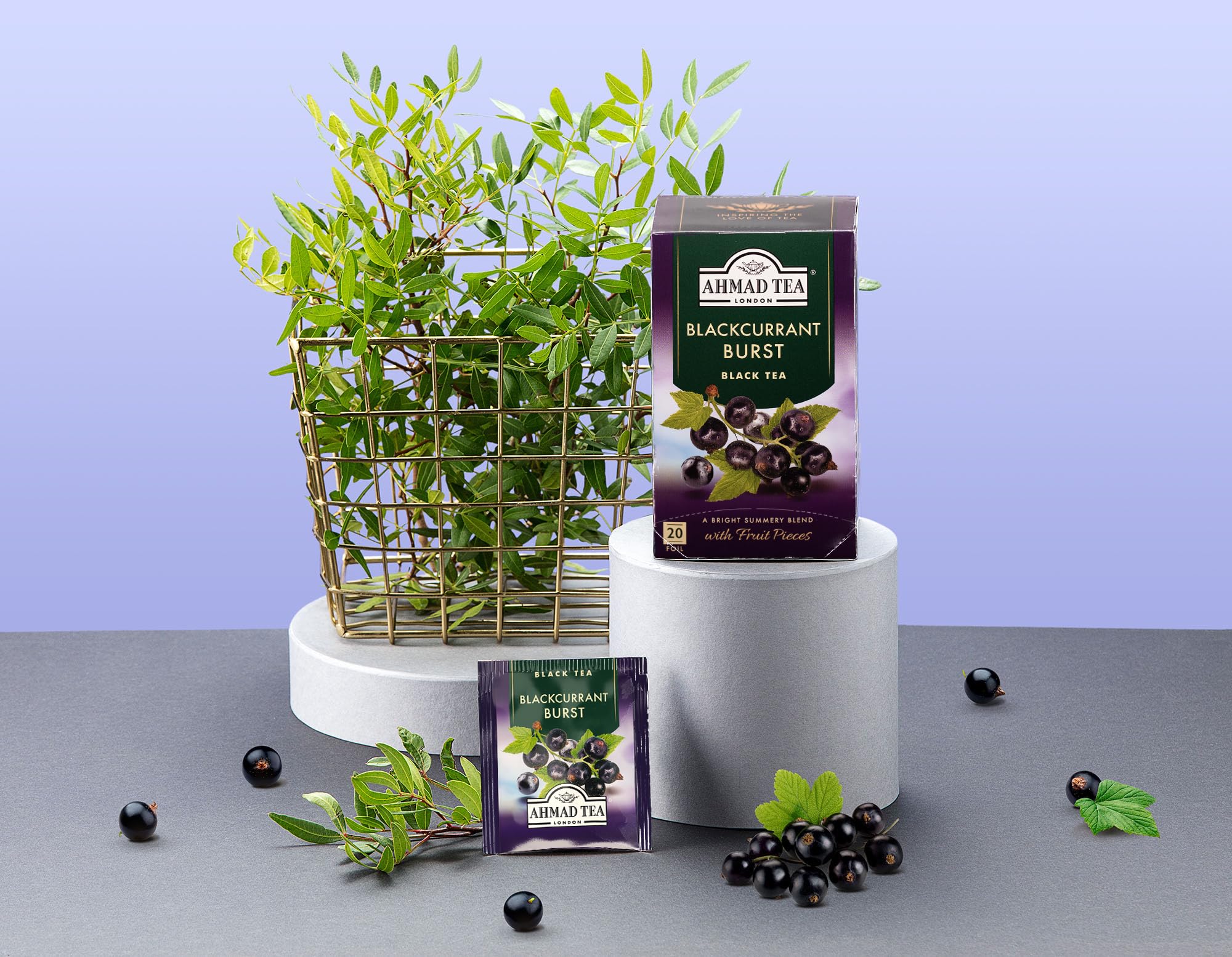 Ahmad Tea Blackcurrant Burst Fruit Black Tea - 20 Teabags | Black Tea & Blackcurrant Flavoring