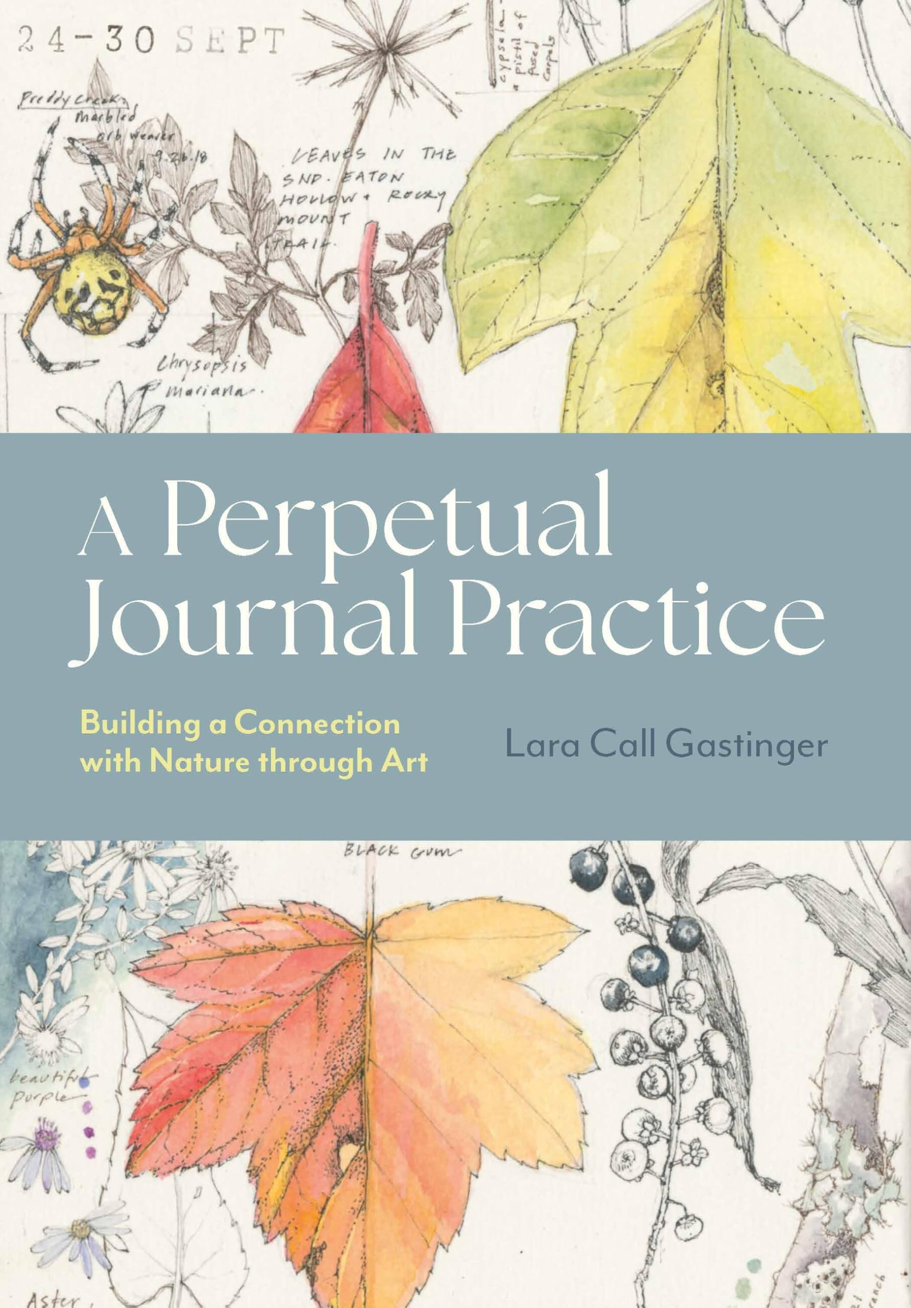Timber Press A Perpetual Journal Practice: Building a Connection with Nature through Art | Paperback