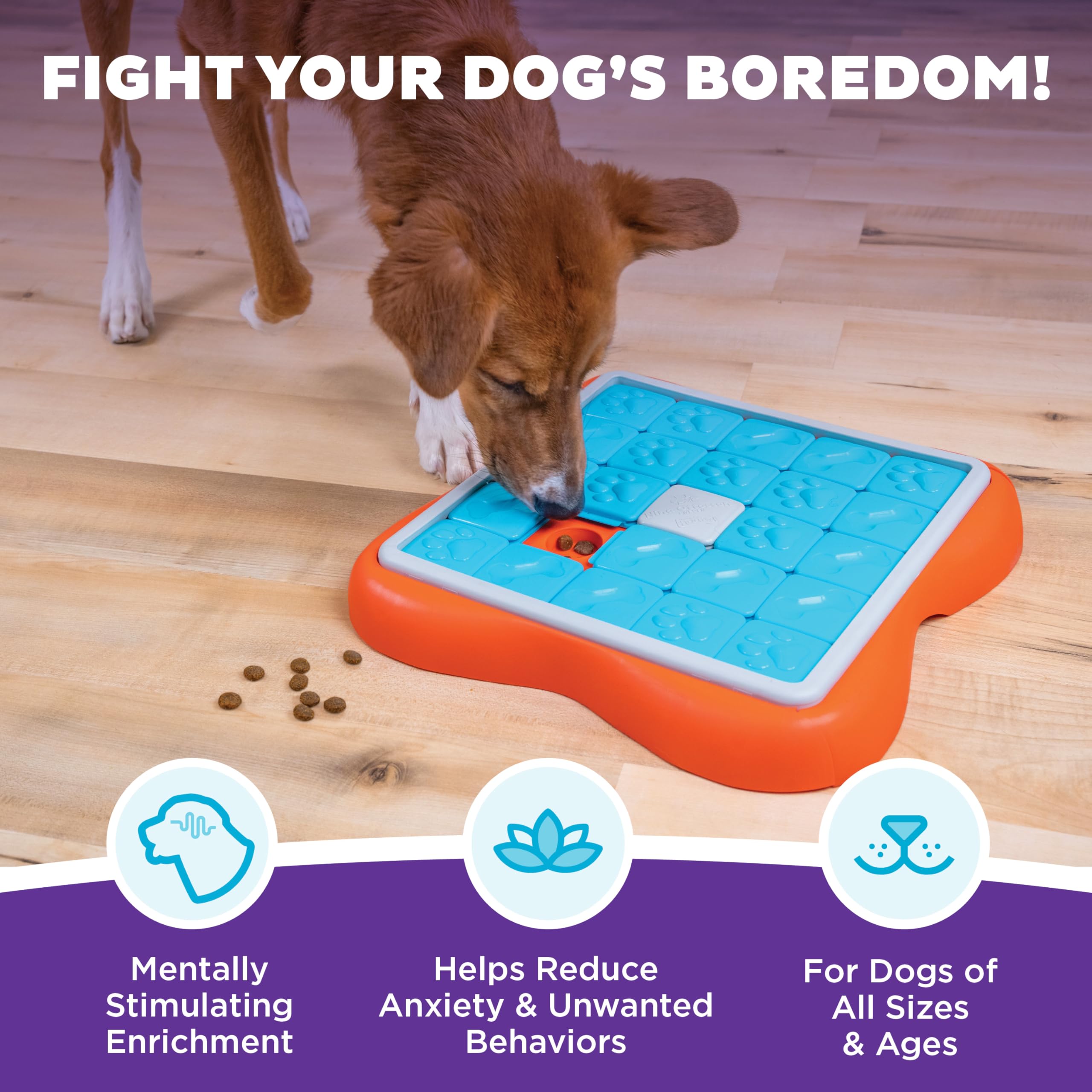 Outward Hound Nina Ottosson Challenge Slider Interactive Treat Puzzle Dog Toy - Level 3 | Large