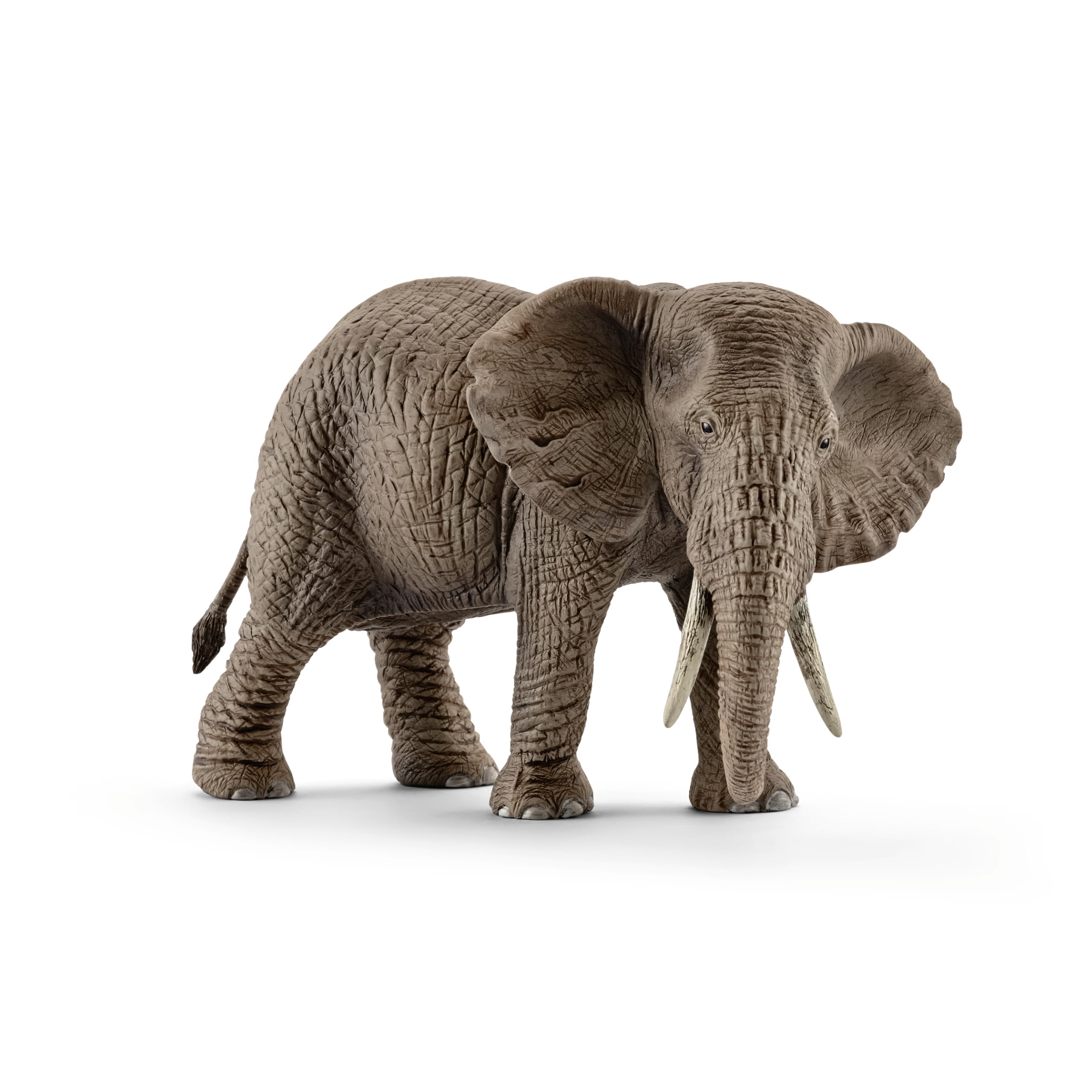 Schleich Wild Life African Elephant Female Figurine | Ages 3+ | Gray Plastic 7
