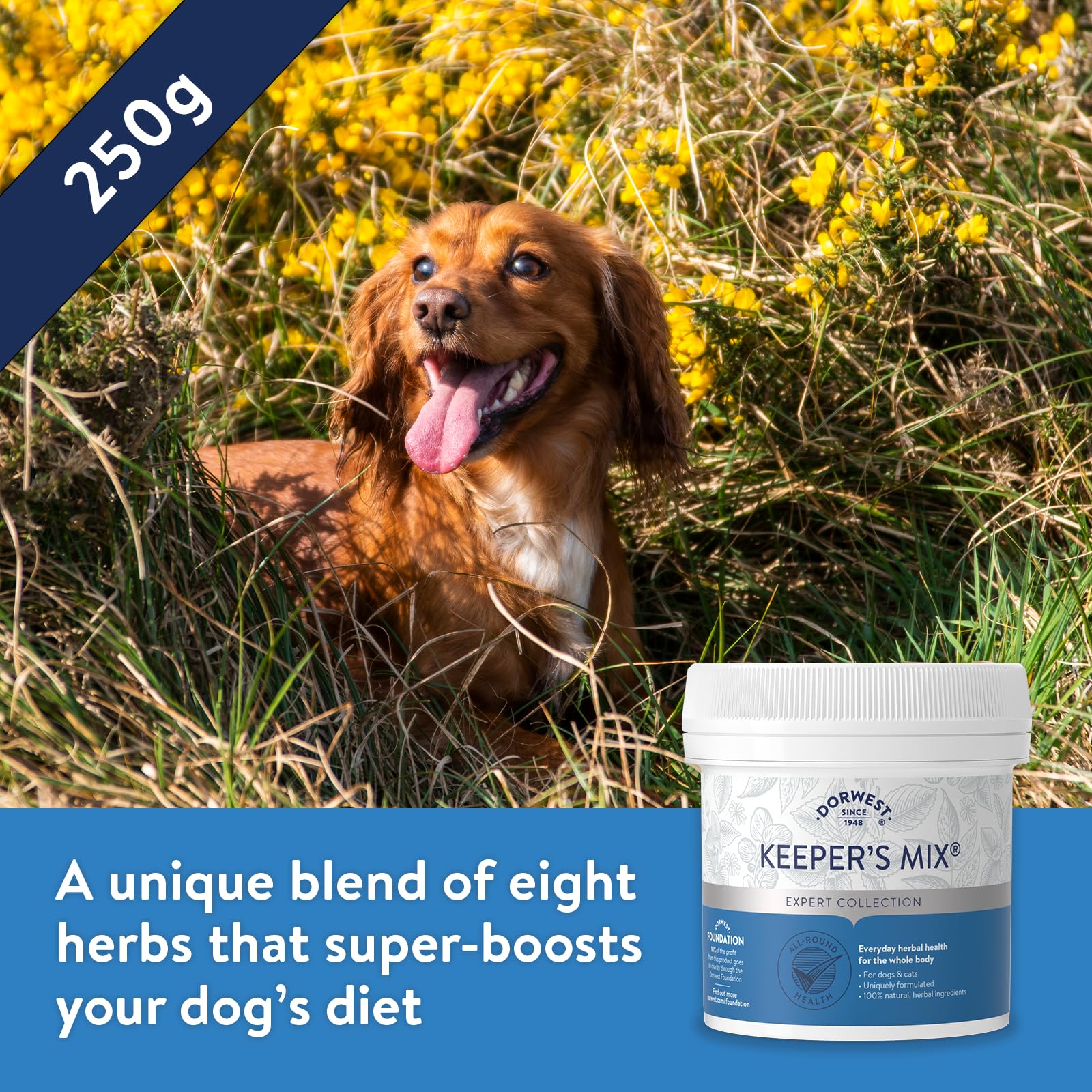 DORWEST HERBS Keeper’s Mix Herbal Health Supplement for Dogs and Cats - 250g