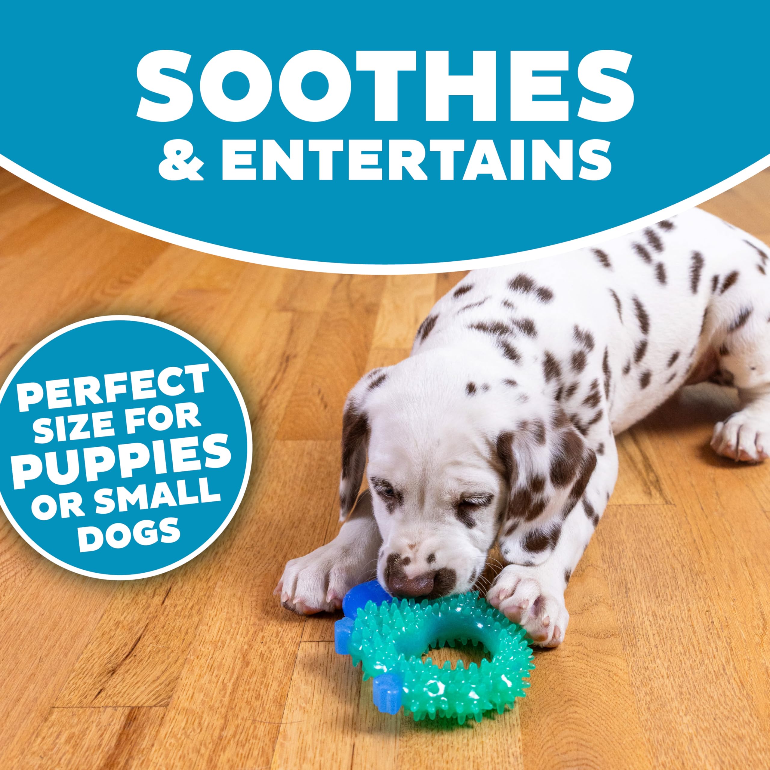 Pupstages Cutie Chewies Hedgehog Dog Chew Toy - Small Dog & Puppy Teething Aid | Bounces & Floats | Blue 5