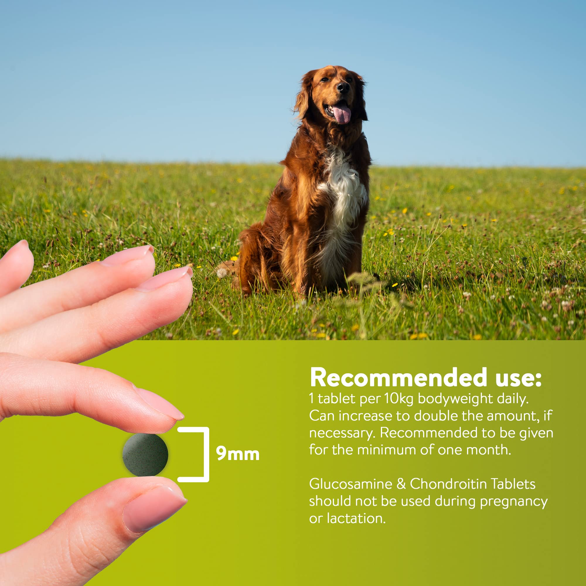 DORWEST HERBS Neutradog Tablets for Dogs and Cats - 100 Count 4