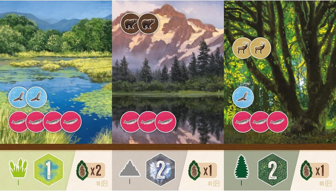 AEG Cascadia Rolling Hills Roll & Write Dice Game Expansion