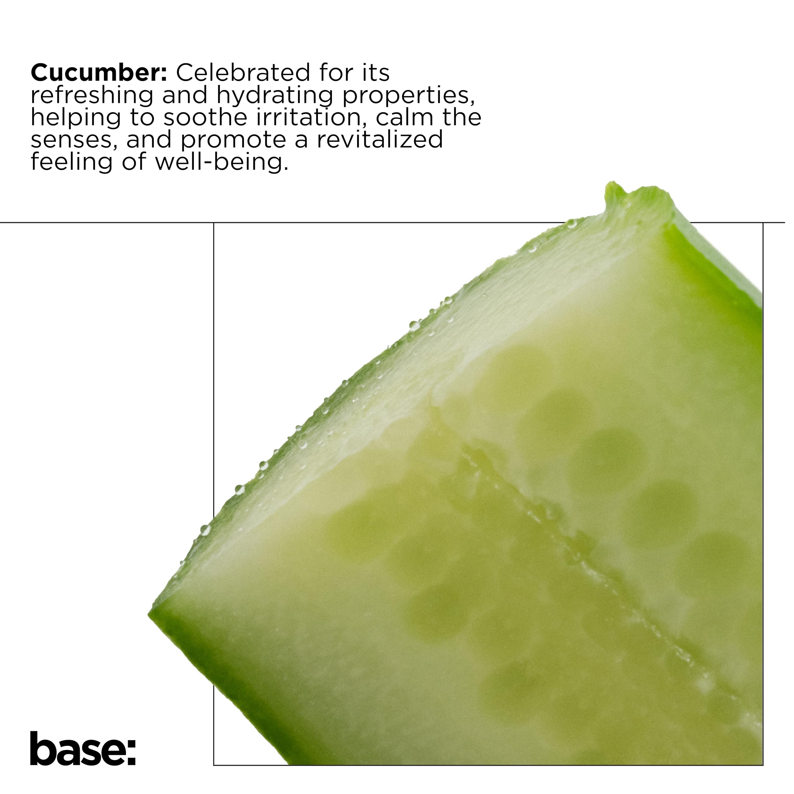 The Lab Co. Antibacterial Washing-Up Liquid - Tough on Grease, Gentle on Skin | 750 ml 8
