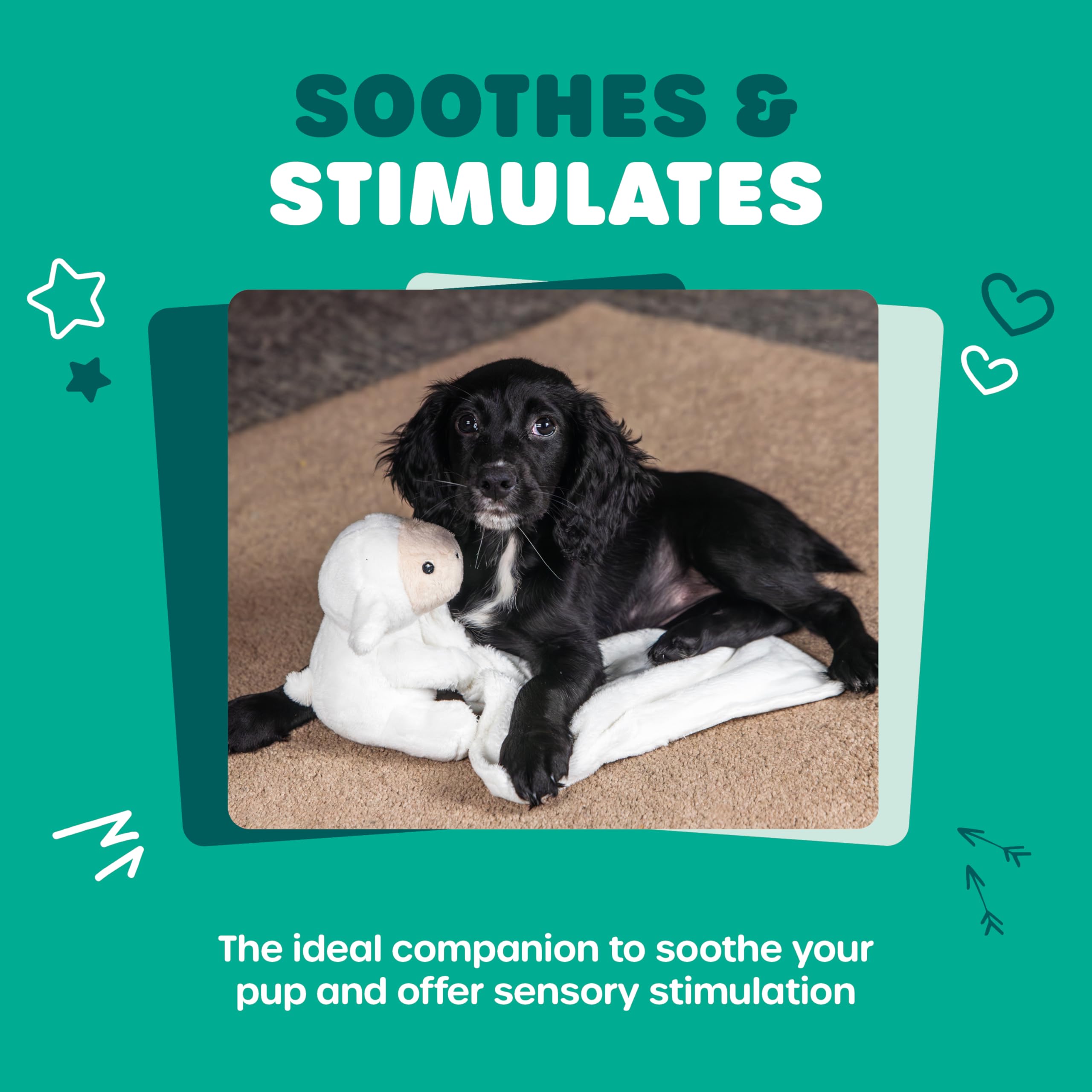 Webbox Layla the Cuddle Lamb Soft Plush Toy for Puppy Anxiety Relief | 110g