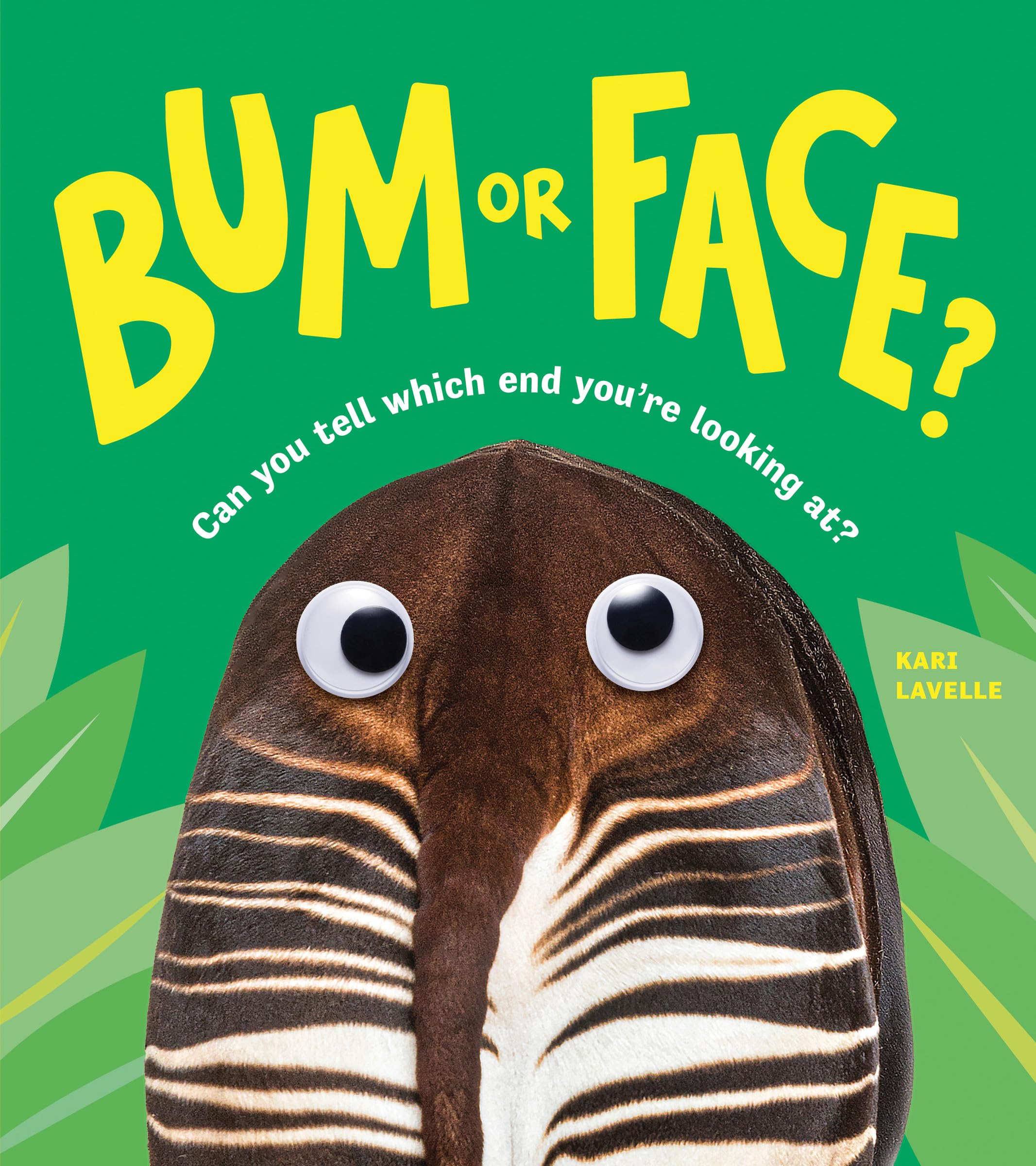 Sourcebooks Explore Bum or Face? Picture Book | Ages 5-9 | Paperback