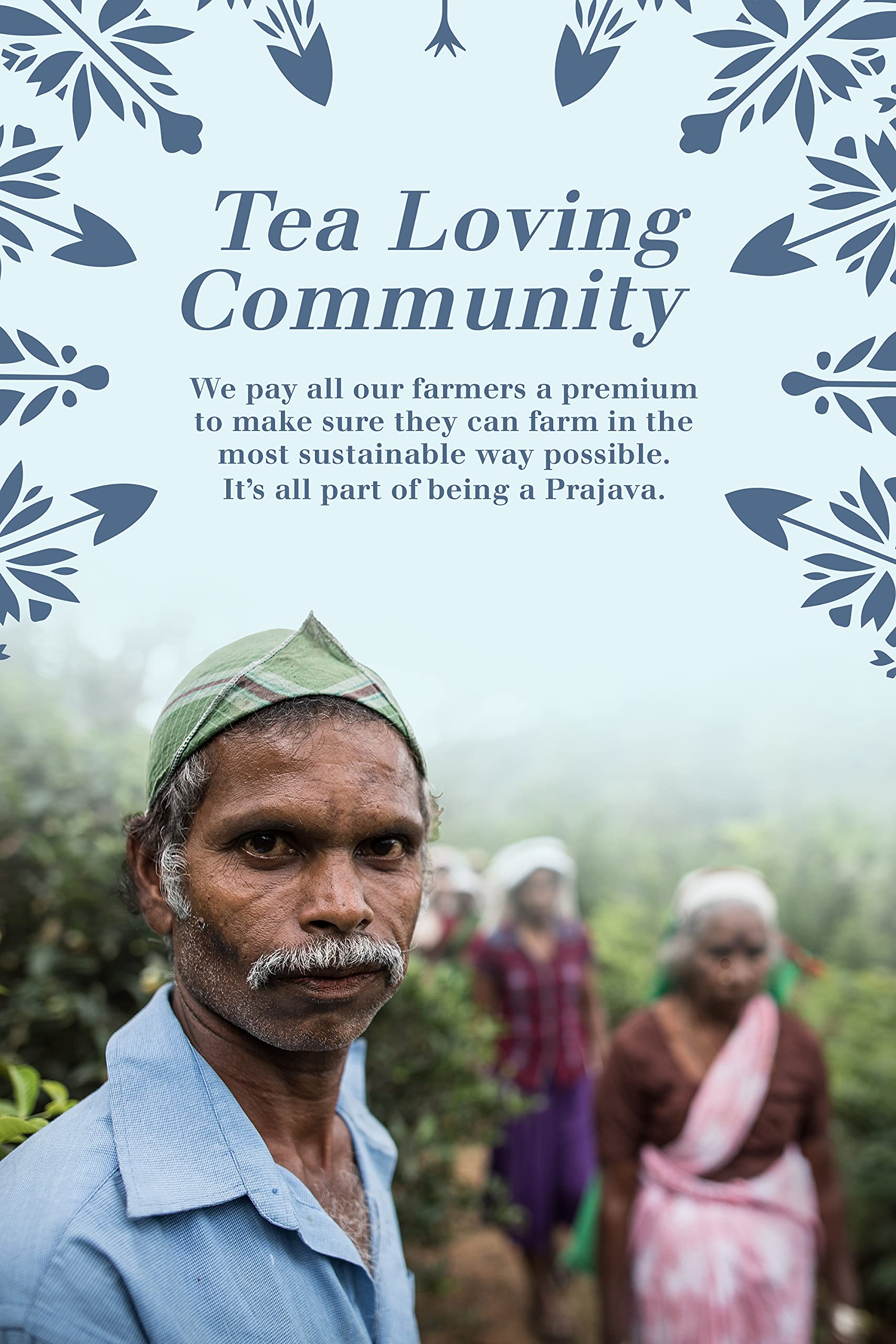 English Tea Shop Organic Wellness Tea Collection Prism - 12 Pyramid Tea Bags, 6 Flavours 11