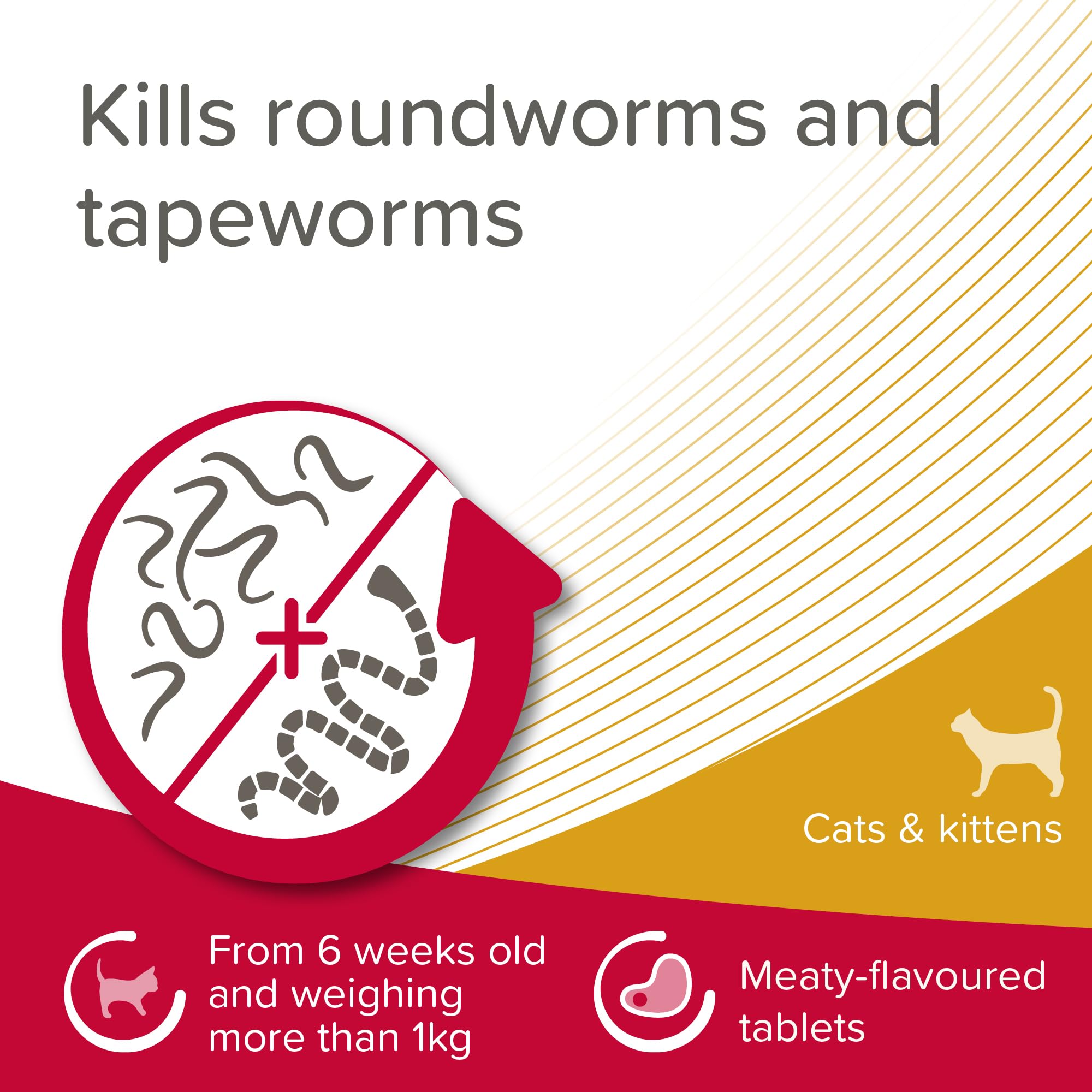 Beaphar WORMclear Tablets for Cats - Kills Roundworms & Tapeworms | 2 Tablet Pack 3